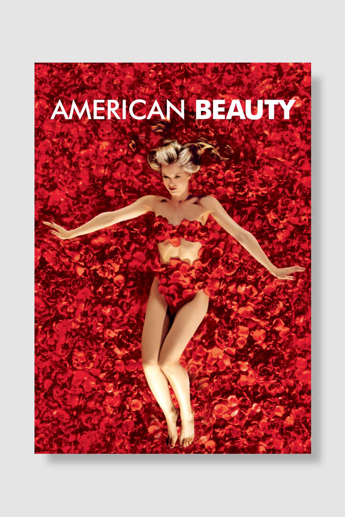 Amerikan Güzeli - American Beauty Film Poster Çerçevesiz Yüksek Kalite Film Afiş Duvar Poster - En İyi Fiyatlarla