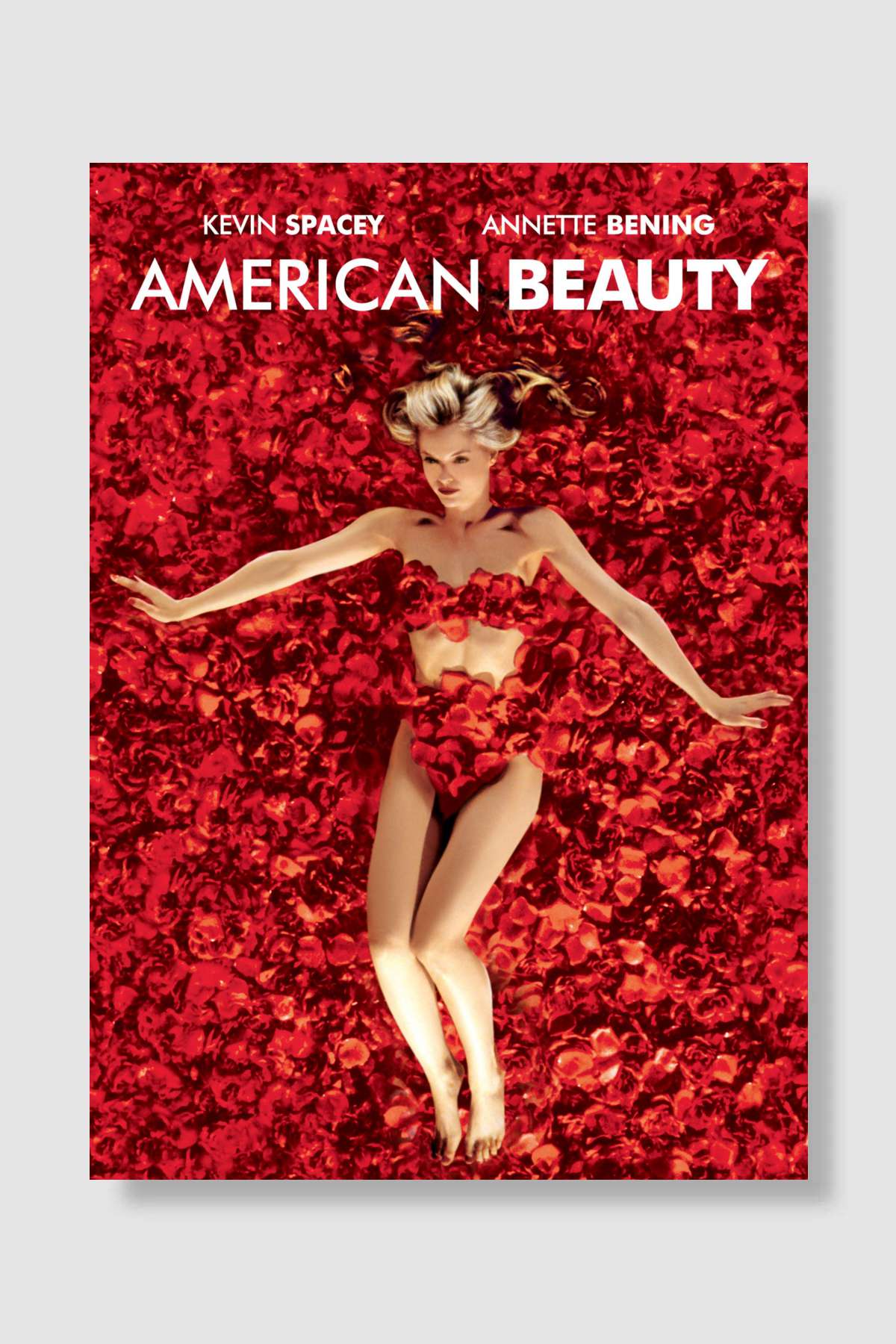 Amerikan Güzeli - American Beauty Film Poster Çerçevesiz Yüksek Kalite Film Afiş Duvar Poster