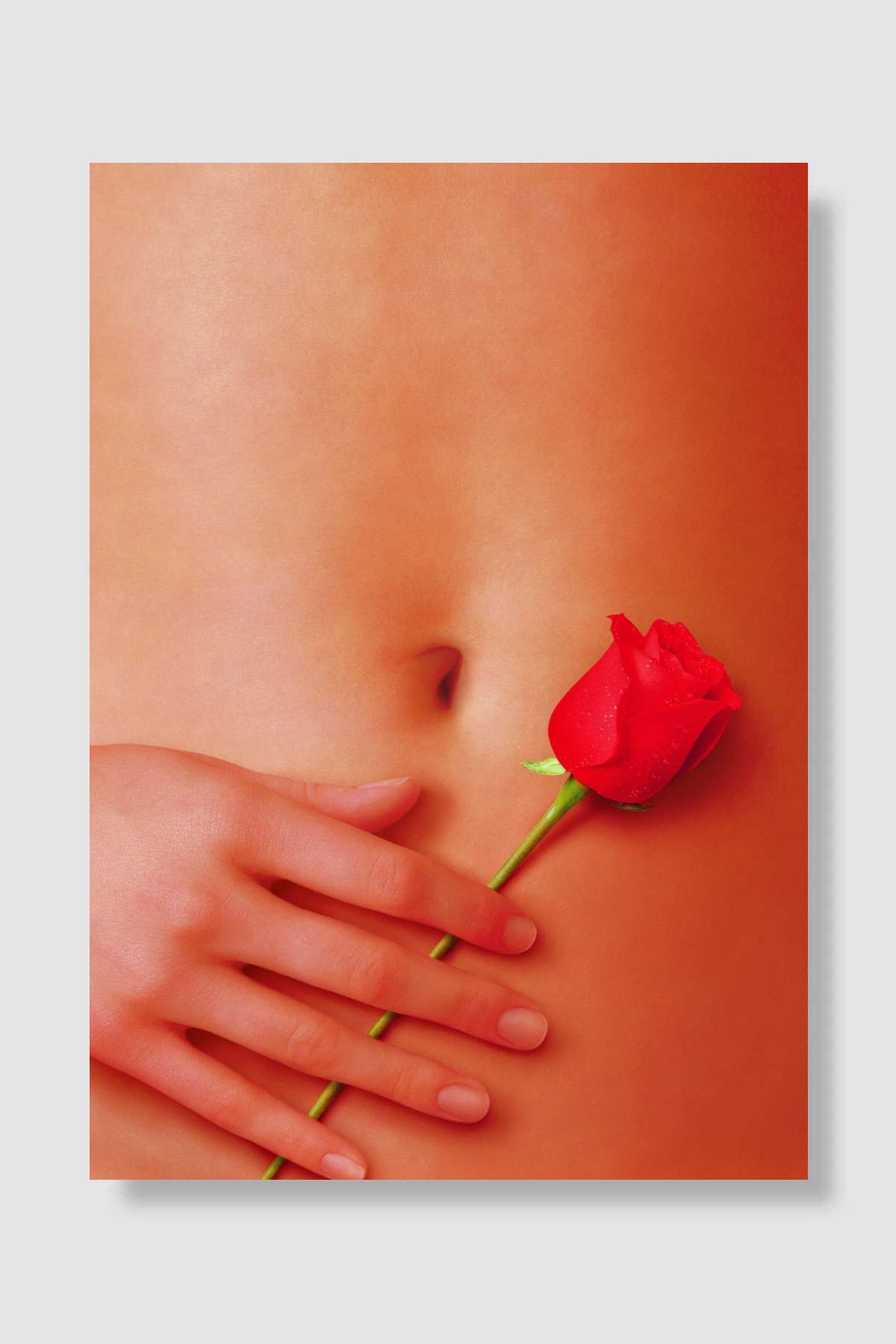 Amerikan Güzeli - American Beauty Film Poster Çerçevesiz Yüksek Kalite Film Afiş Duvar Poster