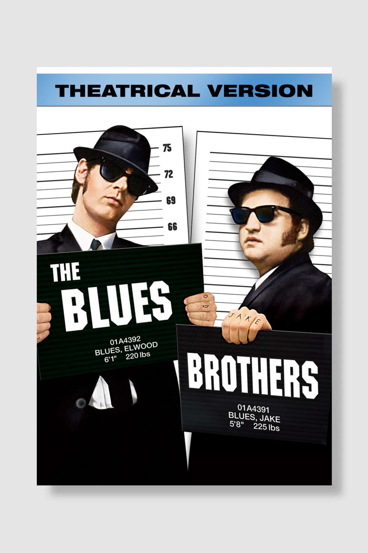 Cazcı Kardeşler - The Blues Brothers Film Poster Çerçevesiz Yüksek Kalite Film Afiş Duvar Poster