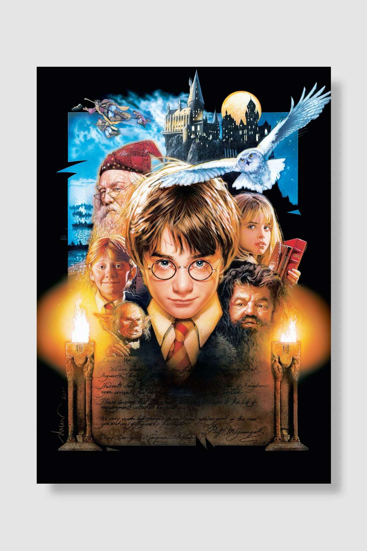 Harry Potter ve Felsefe Taşı - Harry Potter and the Philosopher's Stone Film Poster Çerçevesiz Yüksek Kalite Film Afiş Duvar Poster