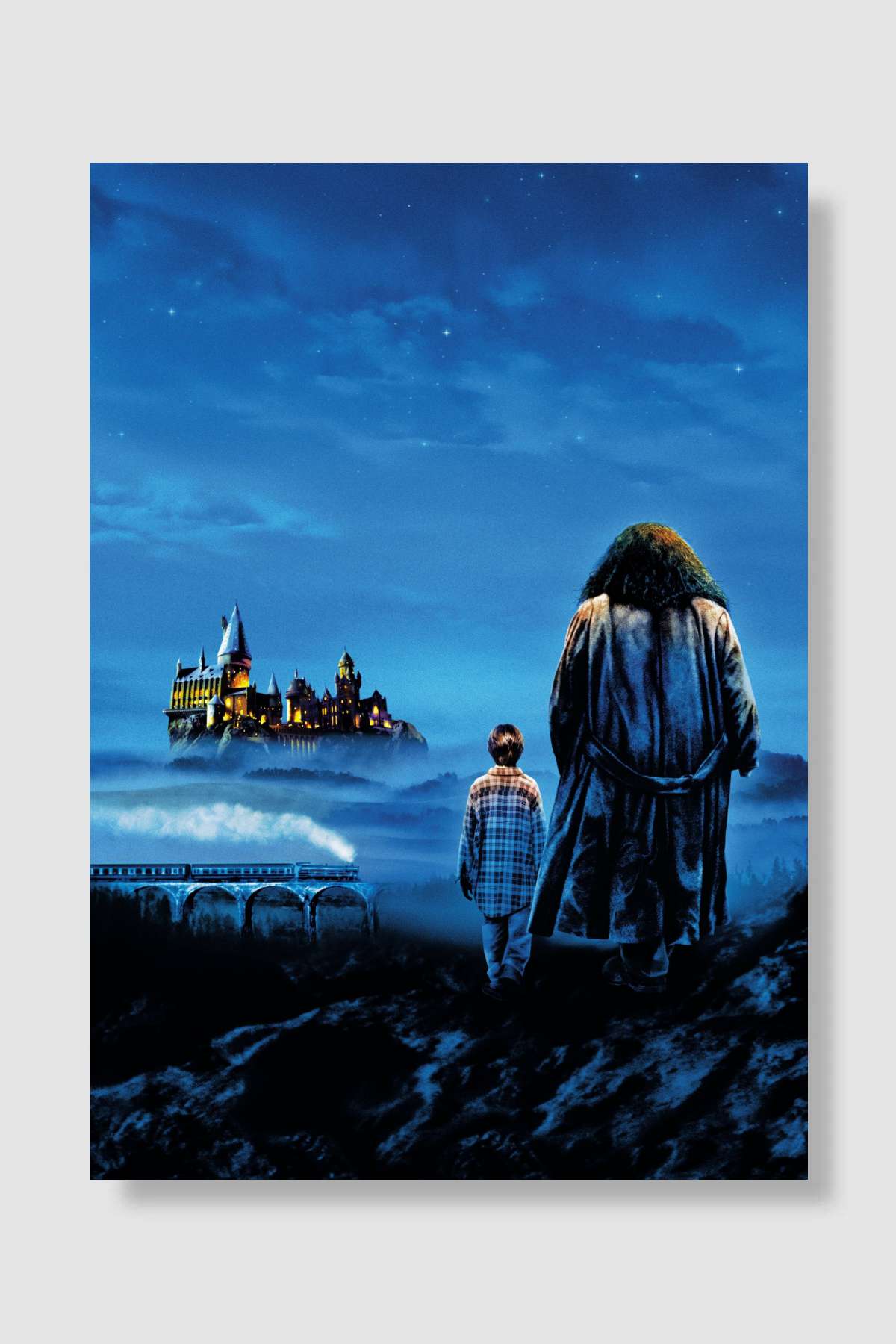 Harry Potter ve Felsefe Taşı - Harry Potter and the Philosopher's Stone Film Poster Çerçevesiz Yüksek Kalite Film Afiş Duvar Poster