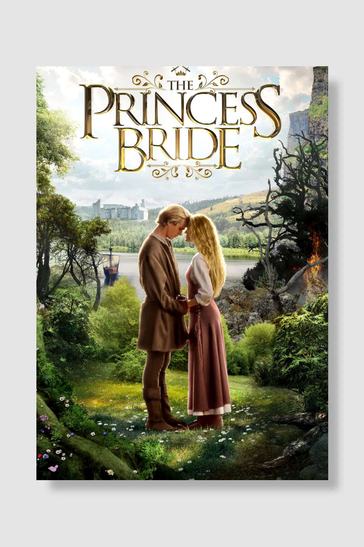 Prenses Gelin - The Princess Bride Film Poster Çerçevesiz Yüksek Kalite Film Afiş Duvar Poster