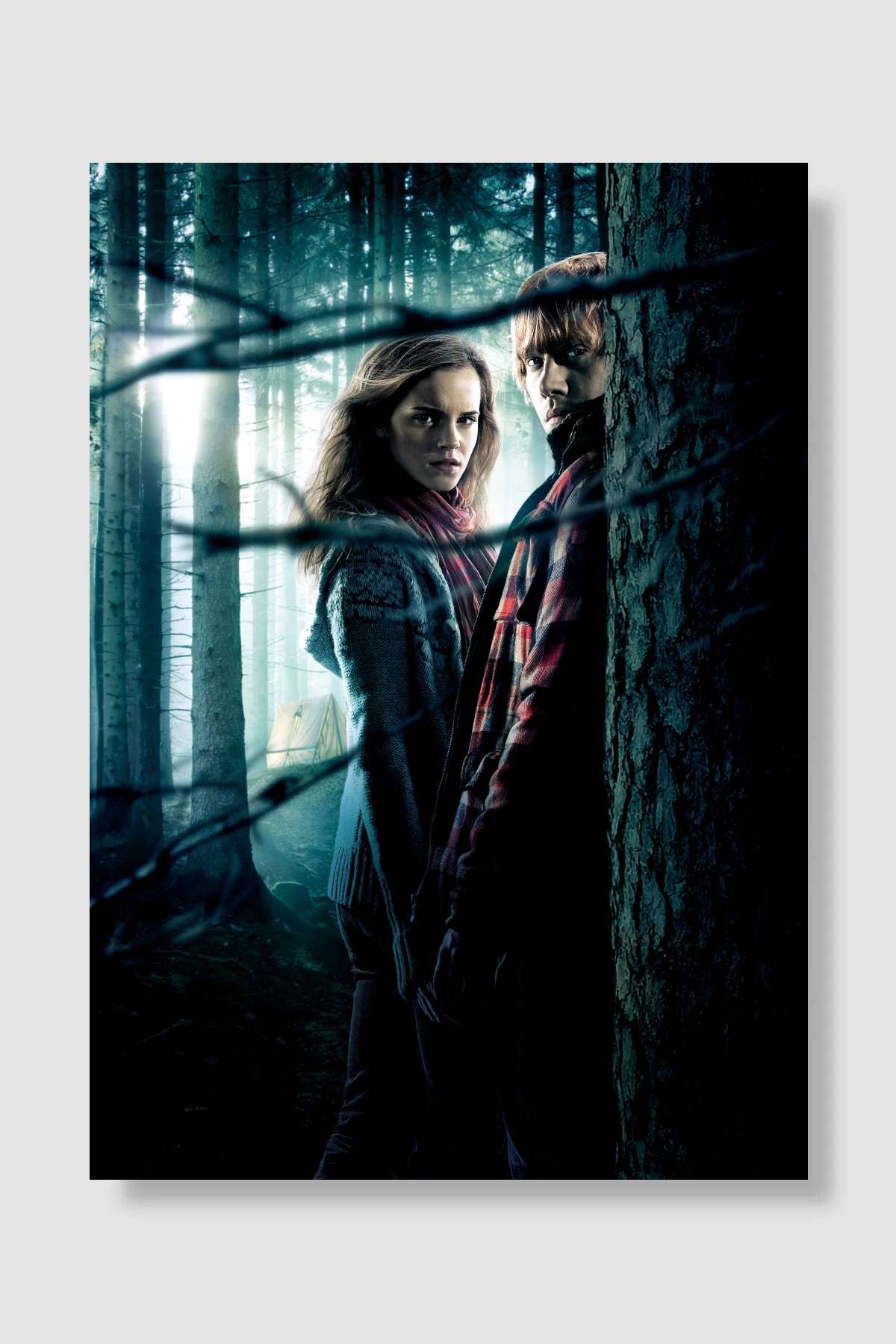 Harry Potter ve Ölüm Yadigârları: Bölüm 1 - Harry Potter and the Deathly Hallows: Part 1 Film Poster Çerçevesiz Yüksek Kalite Film Afiş Duvar Poster