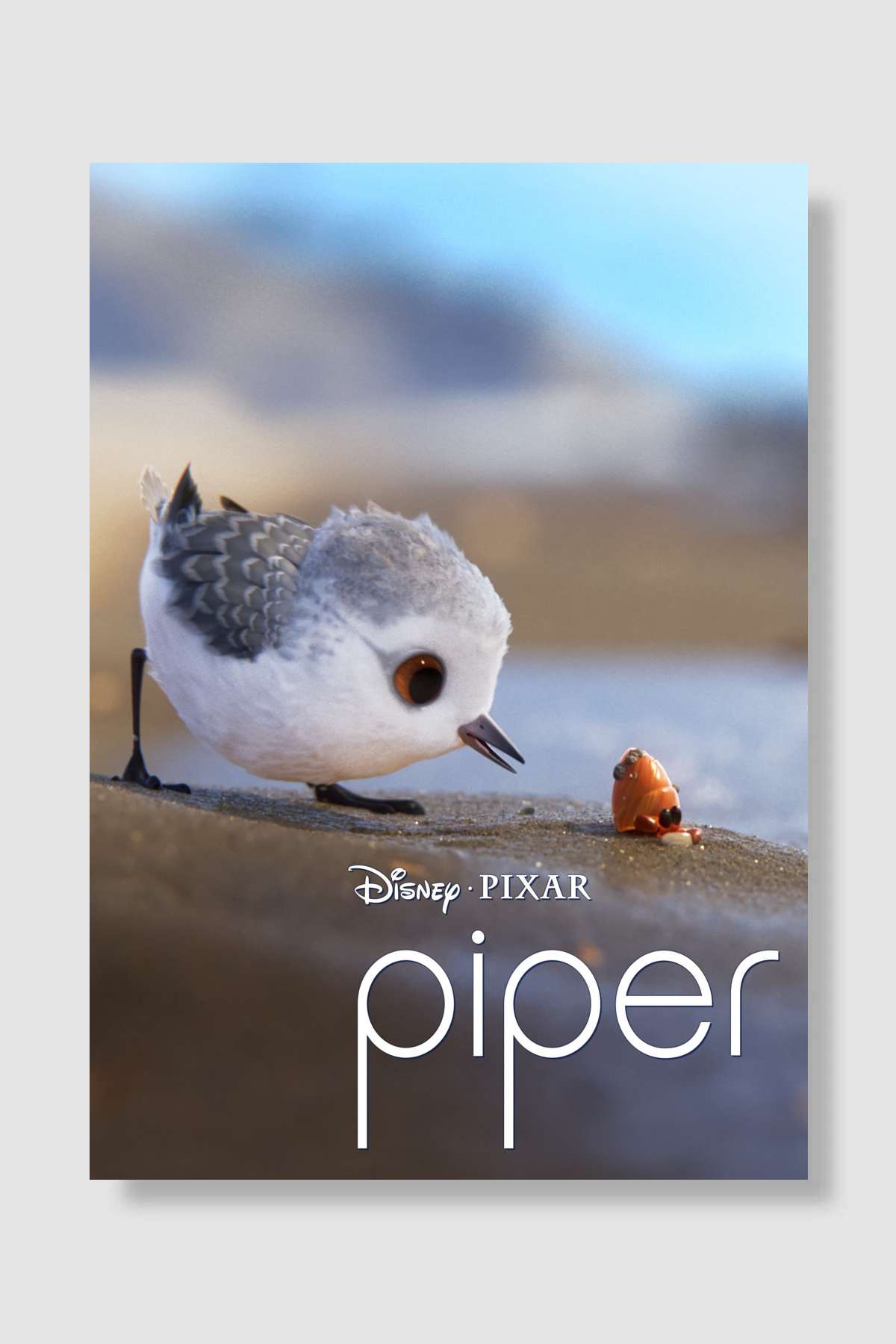 Piper Film Poster Çerçevesiz Yüksek Kalite Film Afiş Duvar Poster