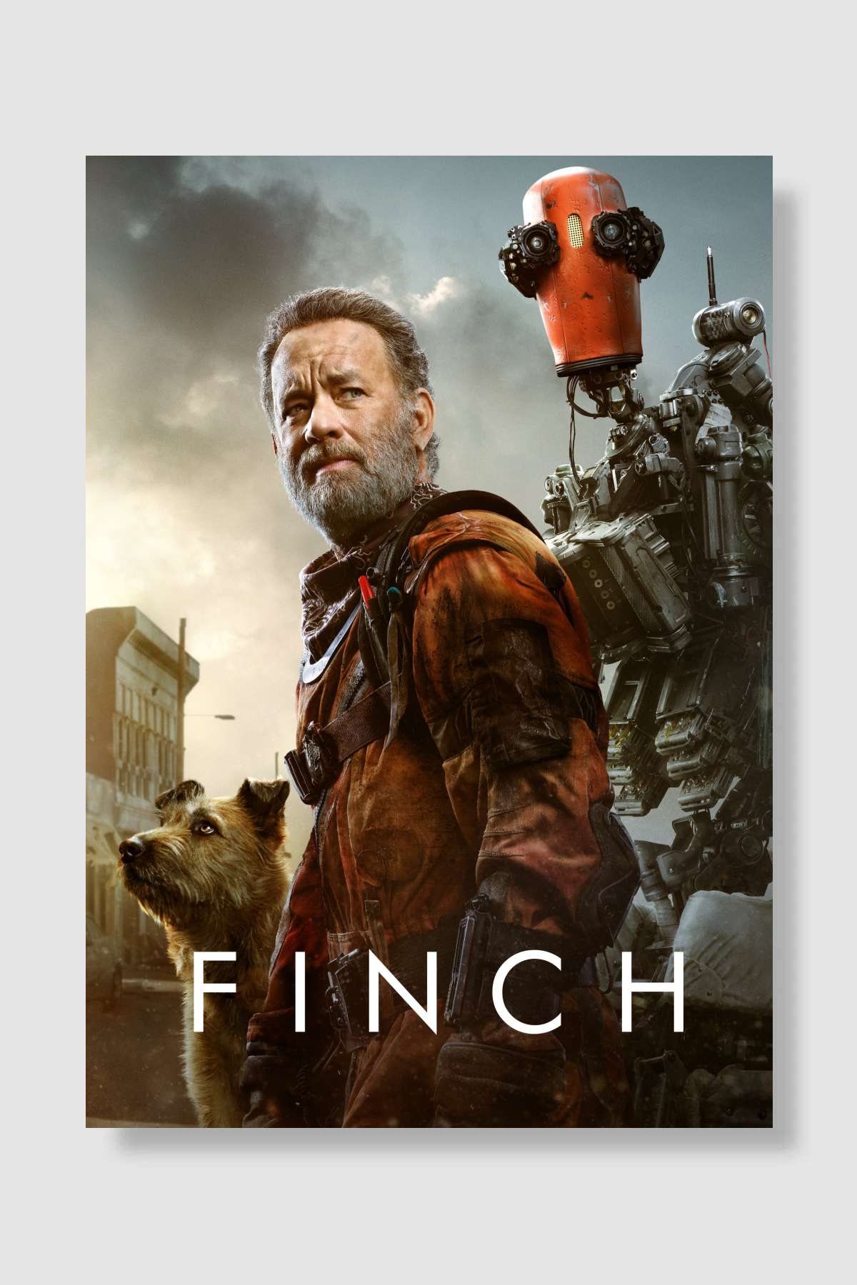 Finch Film Poster Çerçevesiz Yüksek Kalite Film Afiş Duvar Poster