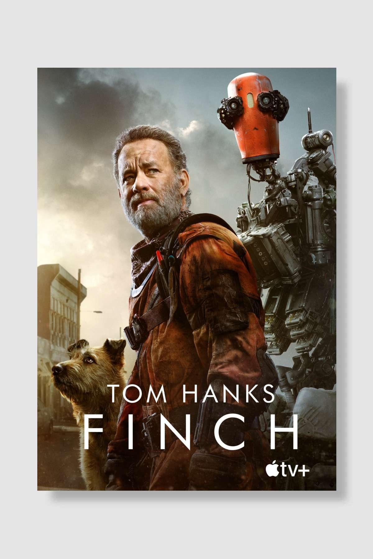 Finch Film Poster Çerçevesiz Yüksek Kalite Film Afiş Duvar Poster