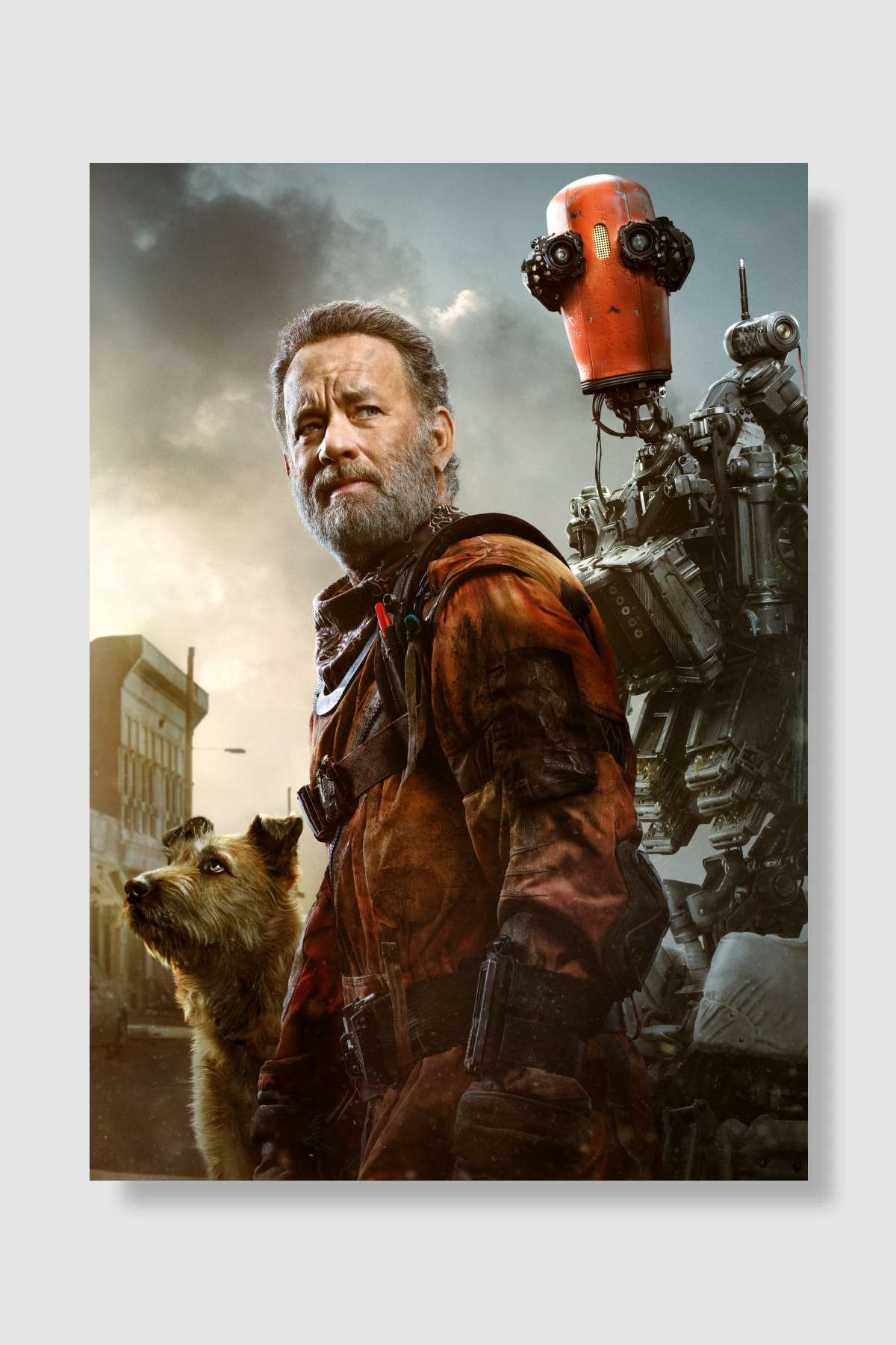 Finch Film Poster Çerçevesiz Yüksek Kalite Film Afiş Duvar Poster