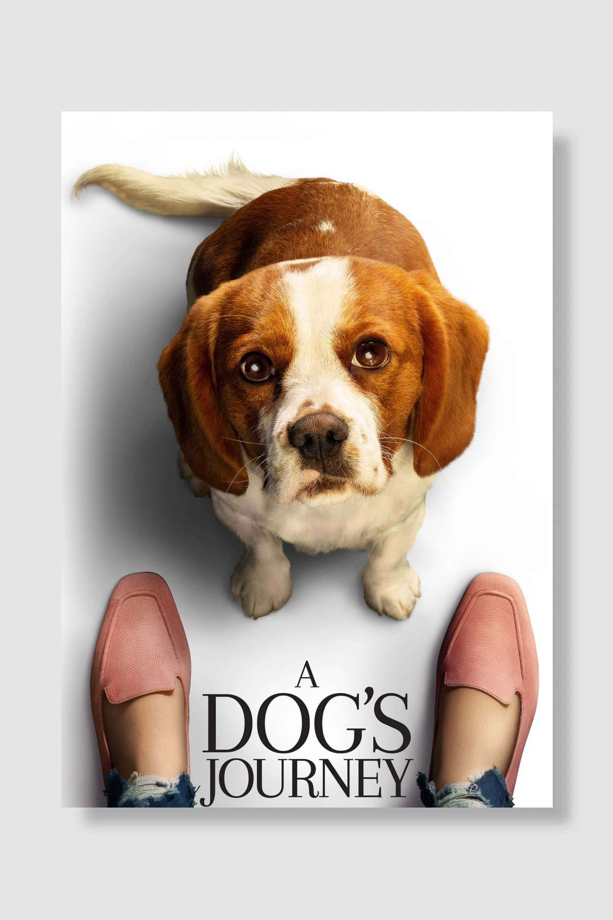 Dostumun Yolculuğu - A Dog's Journey Film Poster Çerçevesiz Yüksek Kalite Film Afiş Duvar Poster