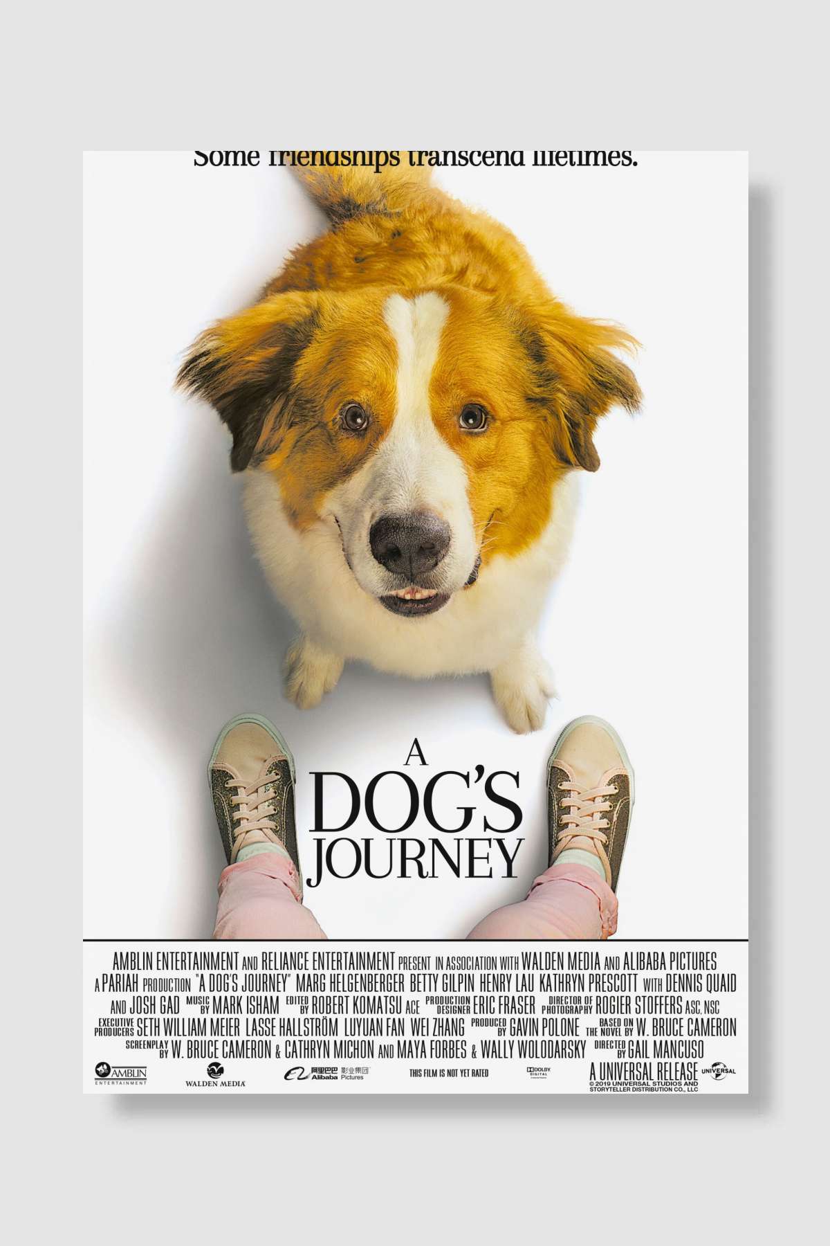 Dostumun Yolculuğu - A Dog's Journey Film Poster Çerçevesiz Yüksek Kalite Film Afiş Duvar Poster