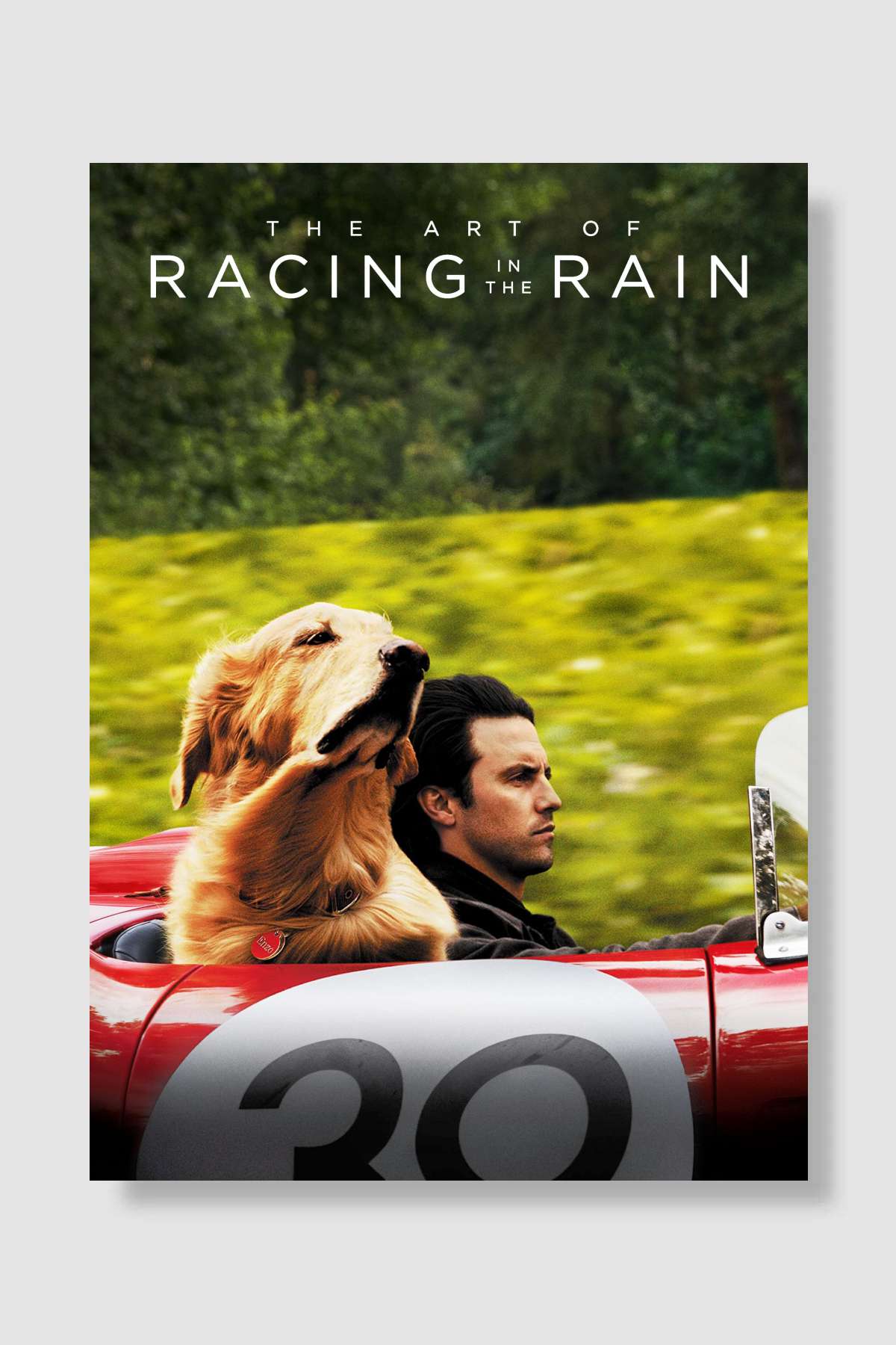 Enzo: Yağmurda Yarış Sanatı - The Art of Racing in the Rain Film Poster Çerçevesiz Yüksek Kalite Film Afiş Duvar Poster