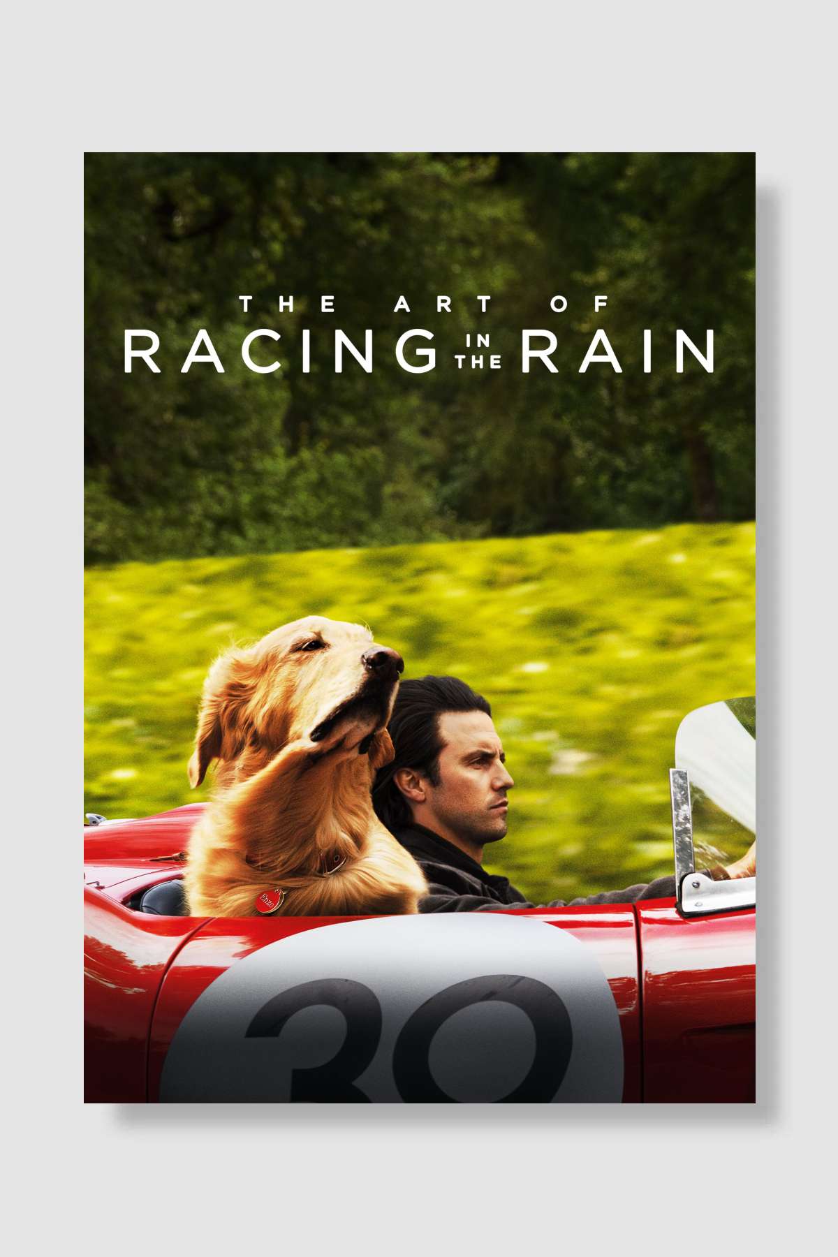 Enzo: Yağmurda Yarış Sanatı - The Art of Racing in the Rain Film Poster Çerçevesiz Yüksek Kalite Film Afiş Duvar Poster - En İyi Fiyatlarla