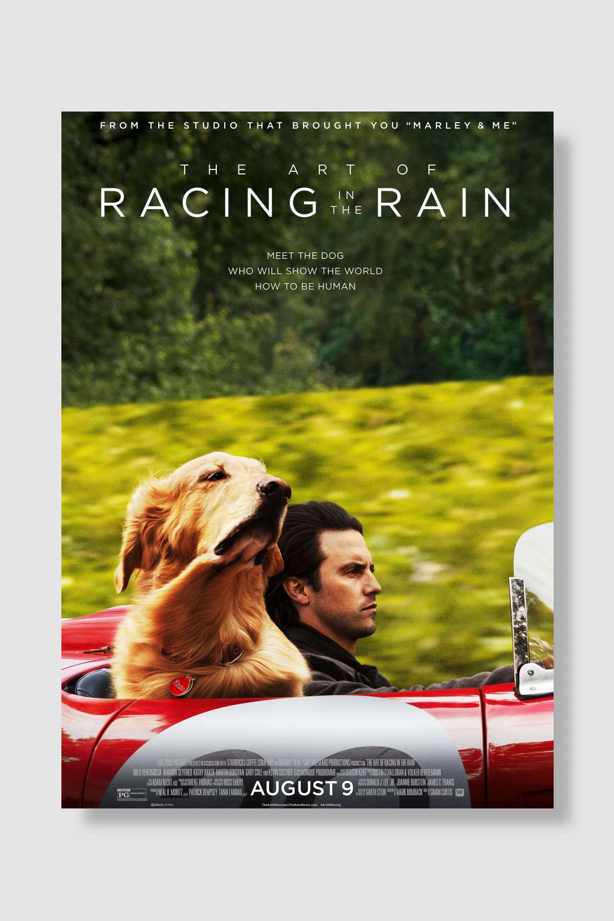 Enzo: Yağmurda Yarış Sanatı - The Art of Racing in the Rain Film Poster Çerçevesiz Yüksek Kalite Film Afiş Duvar Poster