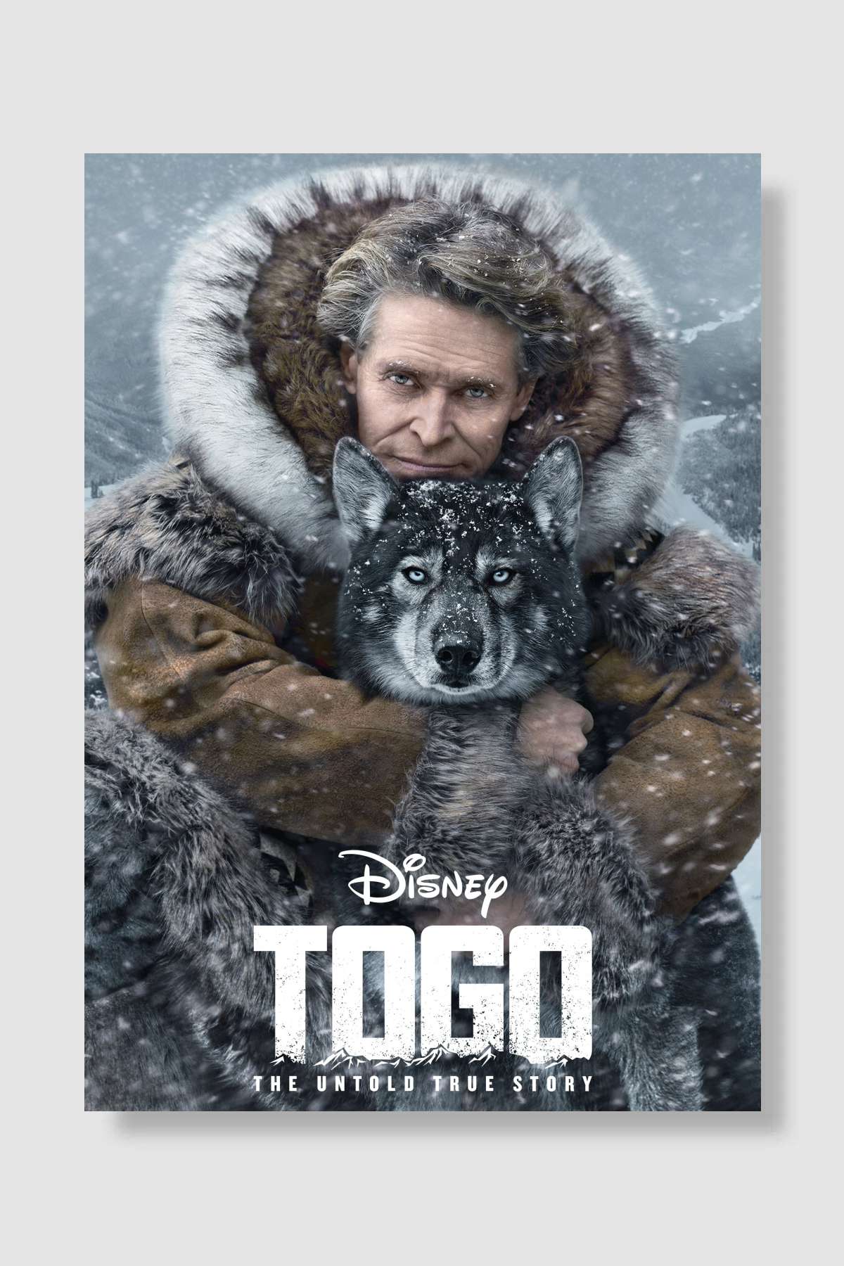 Togo Film Poster Çerçevesiz Yüksek Kalite Film Afiş Duvar Poster