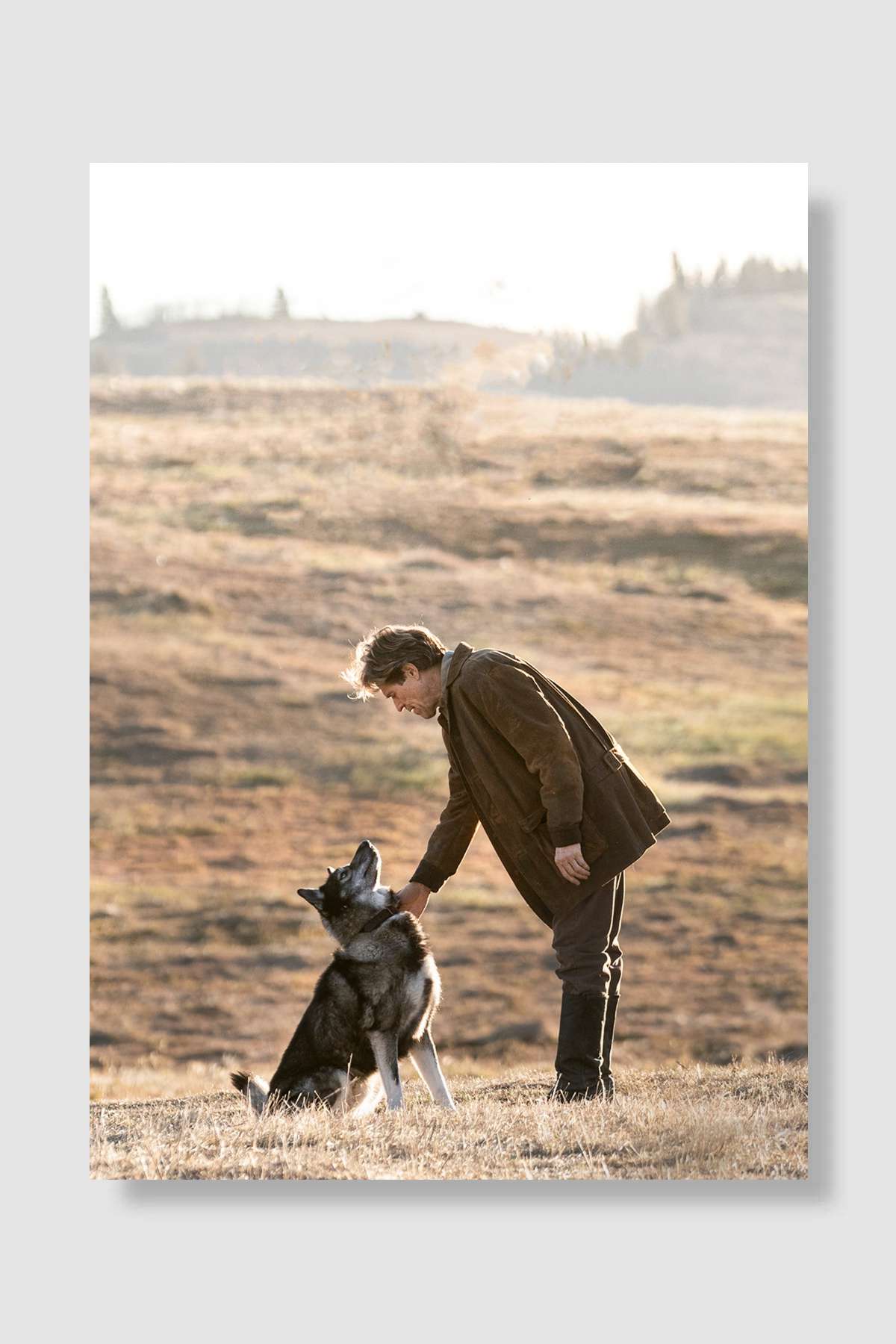 Togo Film Poster Çerçevesiz Yüksek Kalite Film Afiş Duvar Poster