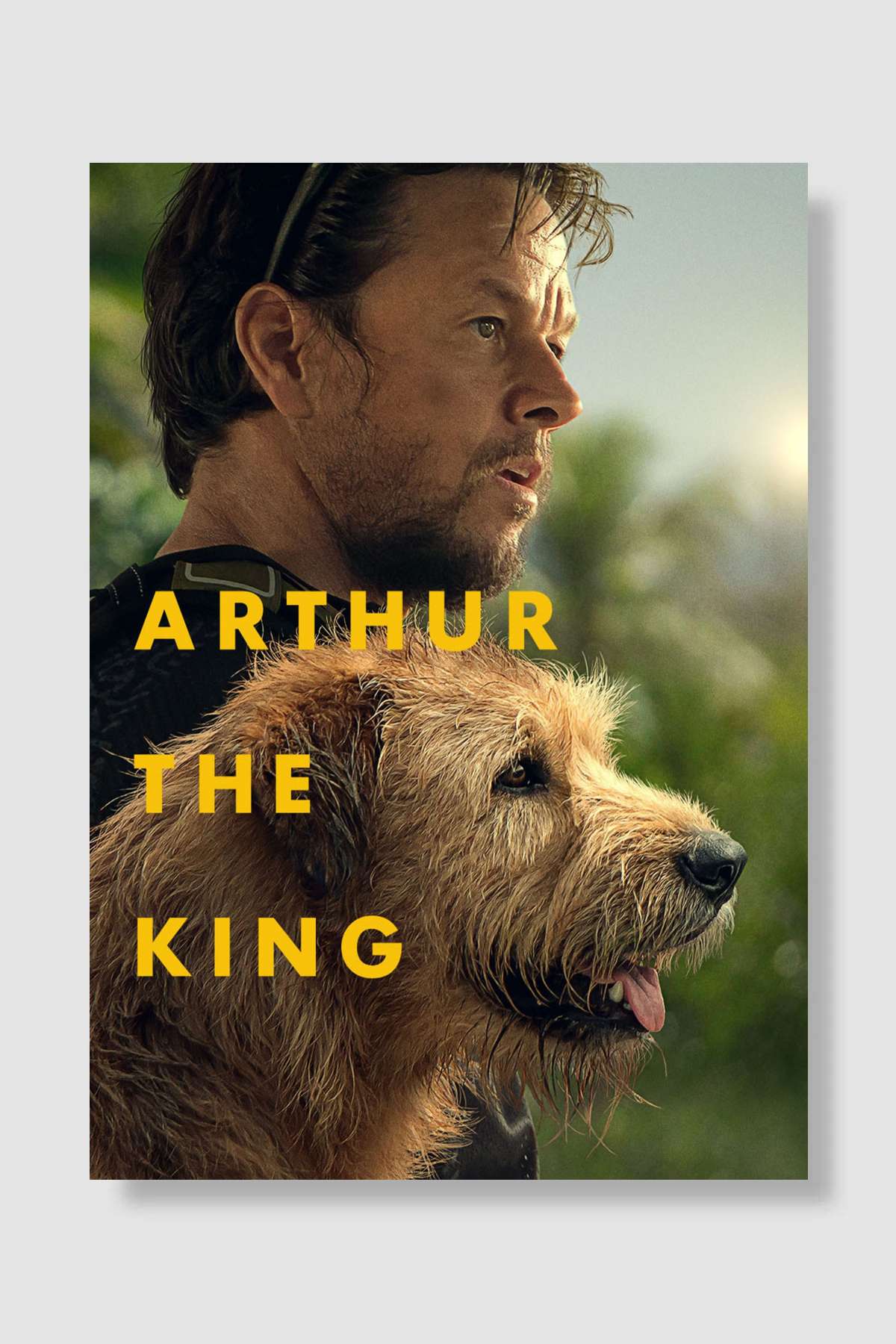 Arthur the King Film Poster Çerçevesiz Yüksek Kalite Film Afiş Duvar Poster