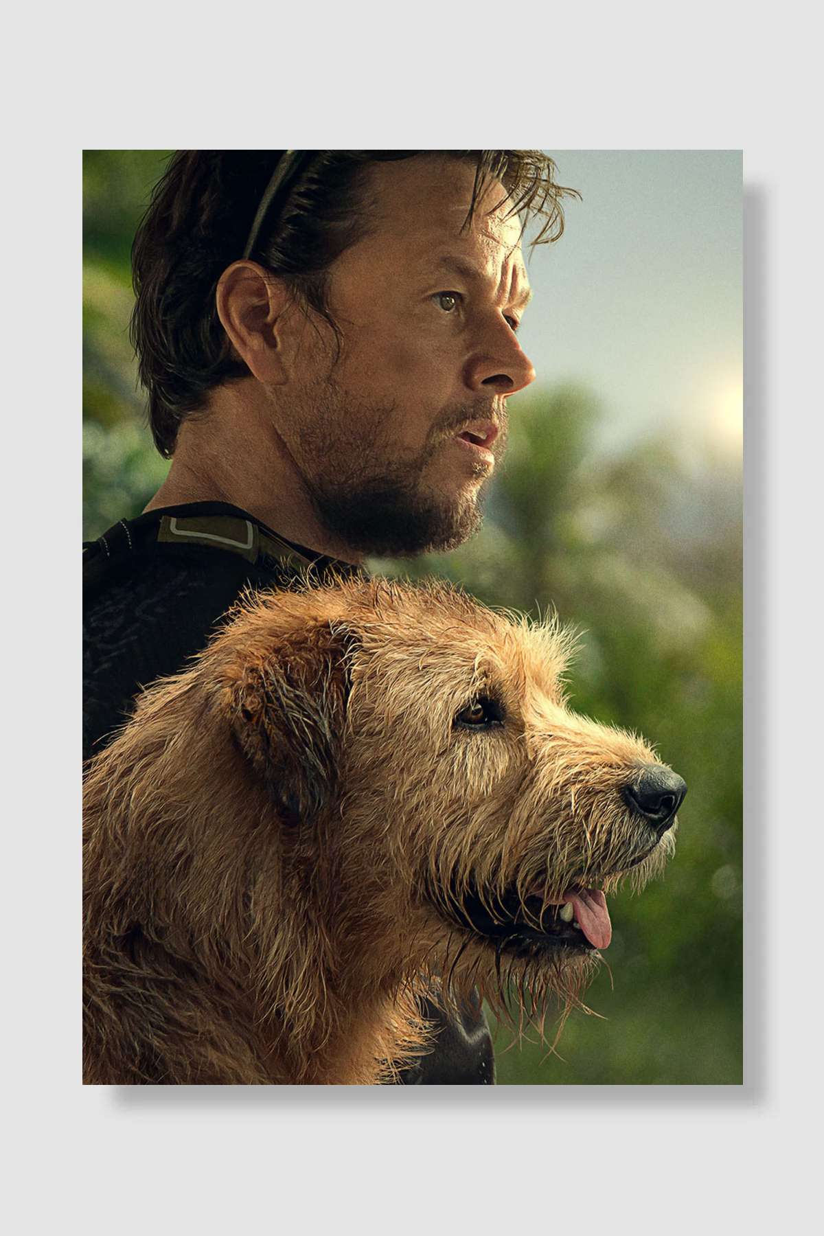 Arthur the King Film Poster Çerçevesiz Yüksek Kalite Film Afiş Duvar Poster