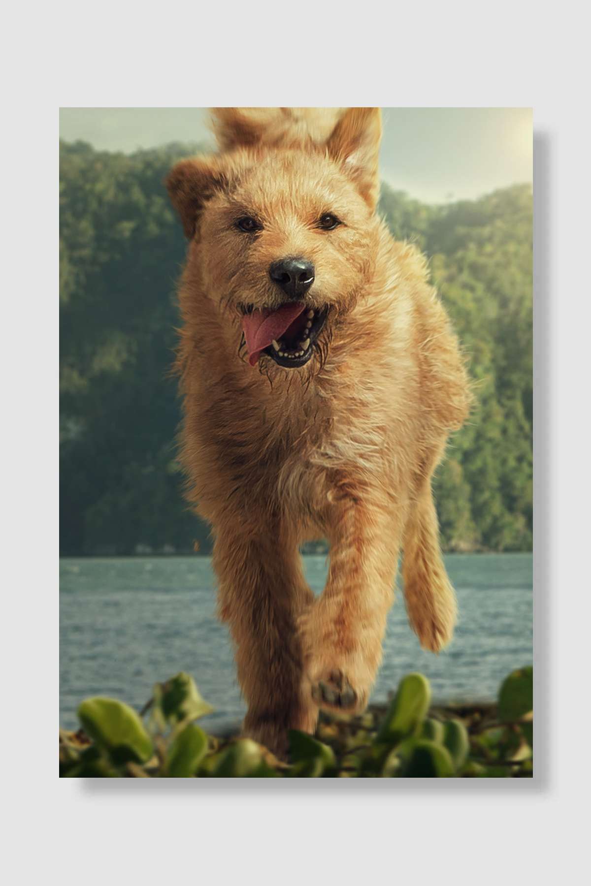 Arthur the King Film Poster Çerçevesiz Yüksek Kalite Film Afiş Duvar Poster