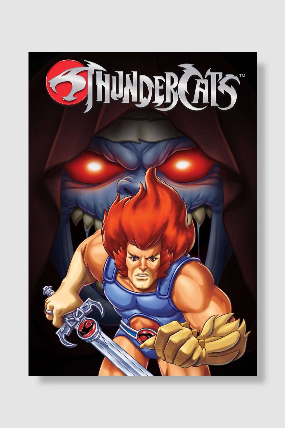 ThunderCats Dizi Poster Çerçevesiz Yüksek Kalite Dizi Afiş Duvar Poster