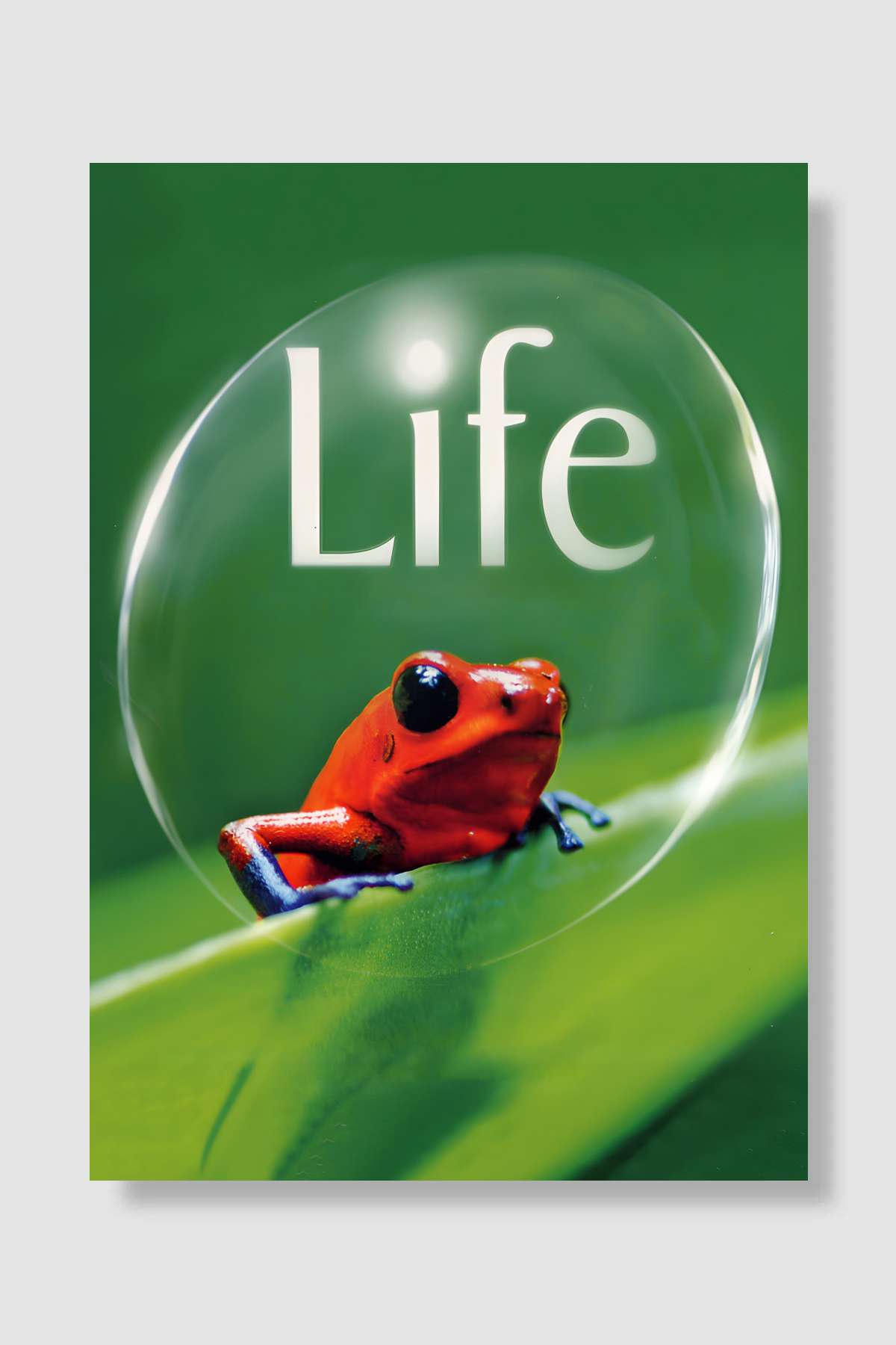 Life Dizi Poster Çerçevesiz Yüksek Kalite Dizi Afiş Duvar Poster