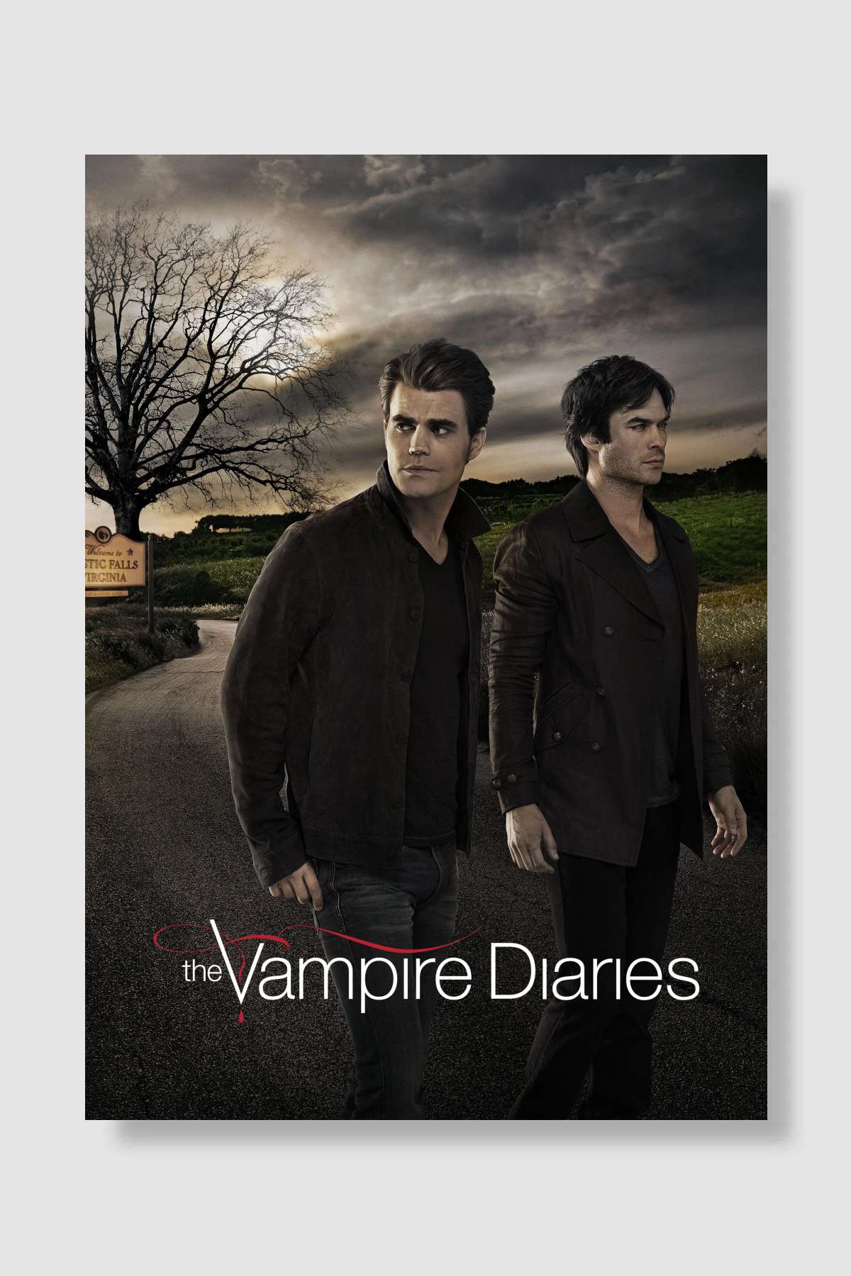 The Vampire Diaries Dizi Poster Çerçevesiz Yüksek Kalite Dizi Afiş Duvar Poster