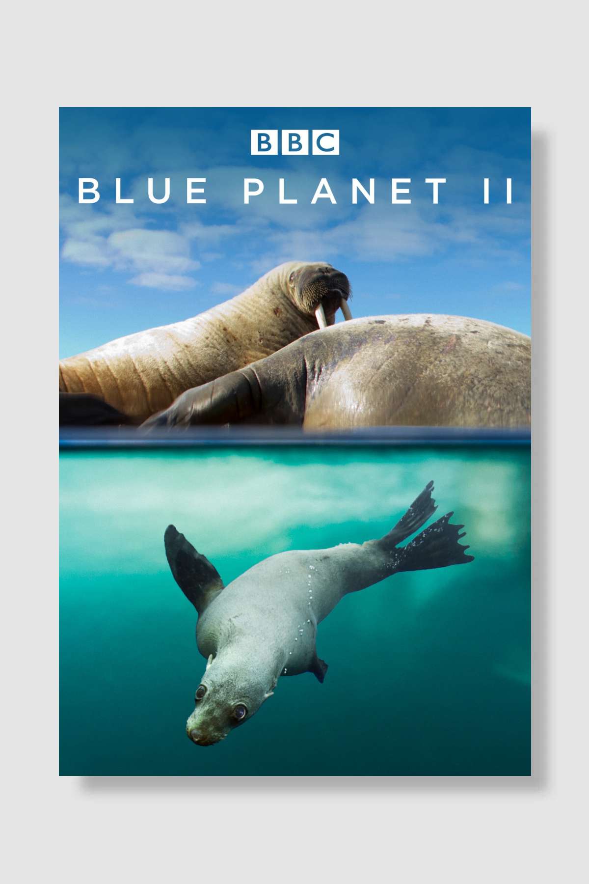 Blue Planet II Dizi Poster Çerçevesiz Yüksek Kalite Dizi Afiş Duvar Poster