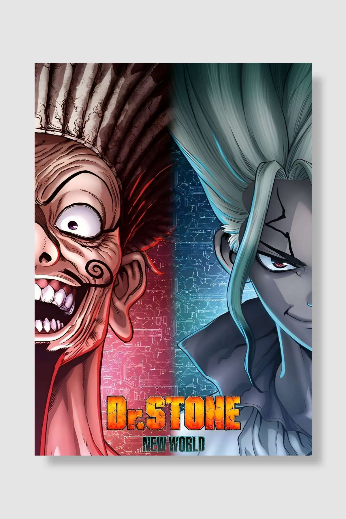 Dr. Stone - Dr.STONE Dizi Poster Çerçevesiz Yüksek Kalite Dizi Afiş Duvar Poster