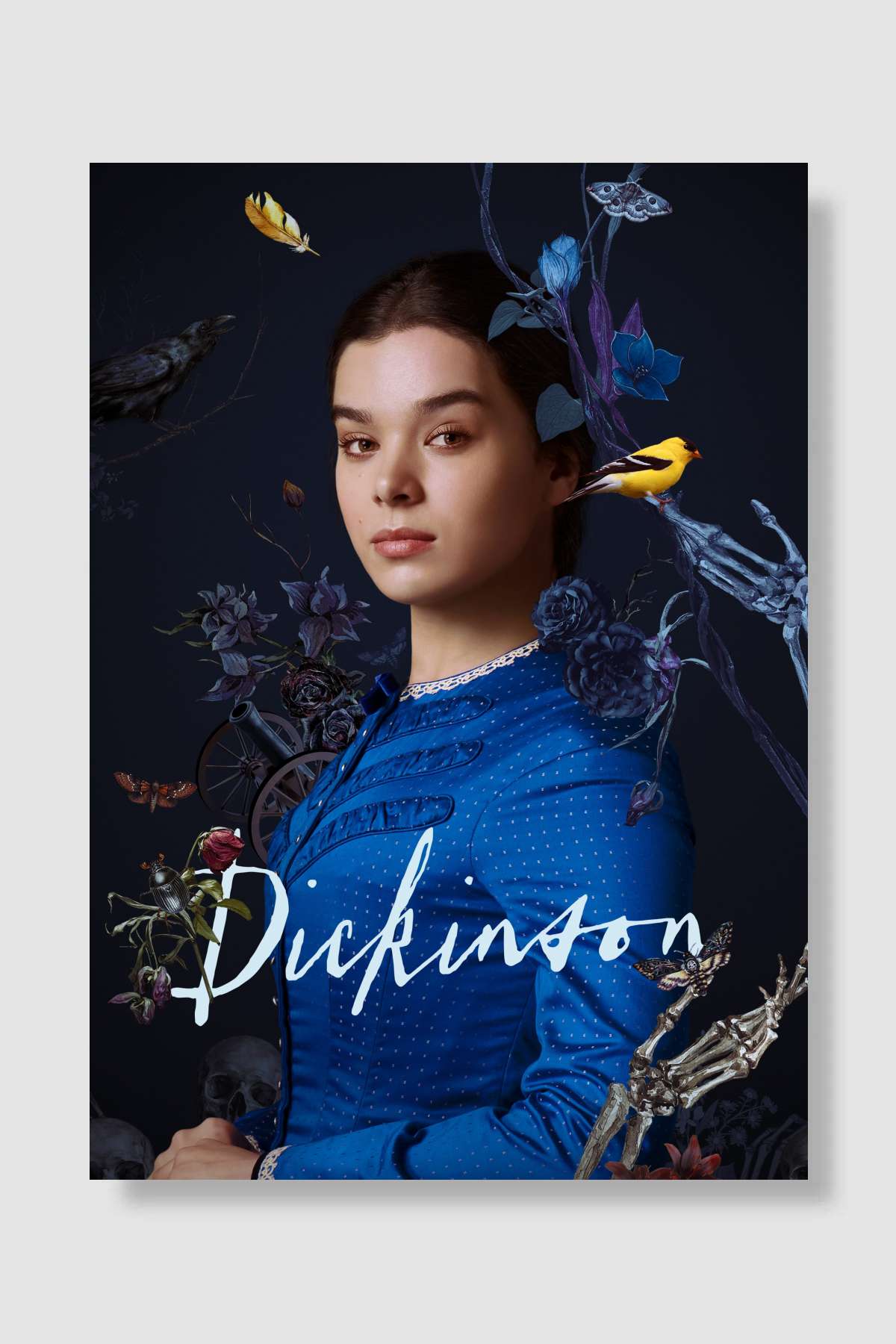 Dickinson Dizi Poster Çerçevesiz Yüksek Kalite Dizi Afiş Duvar Poster