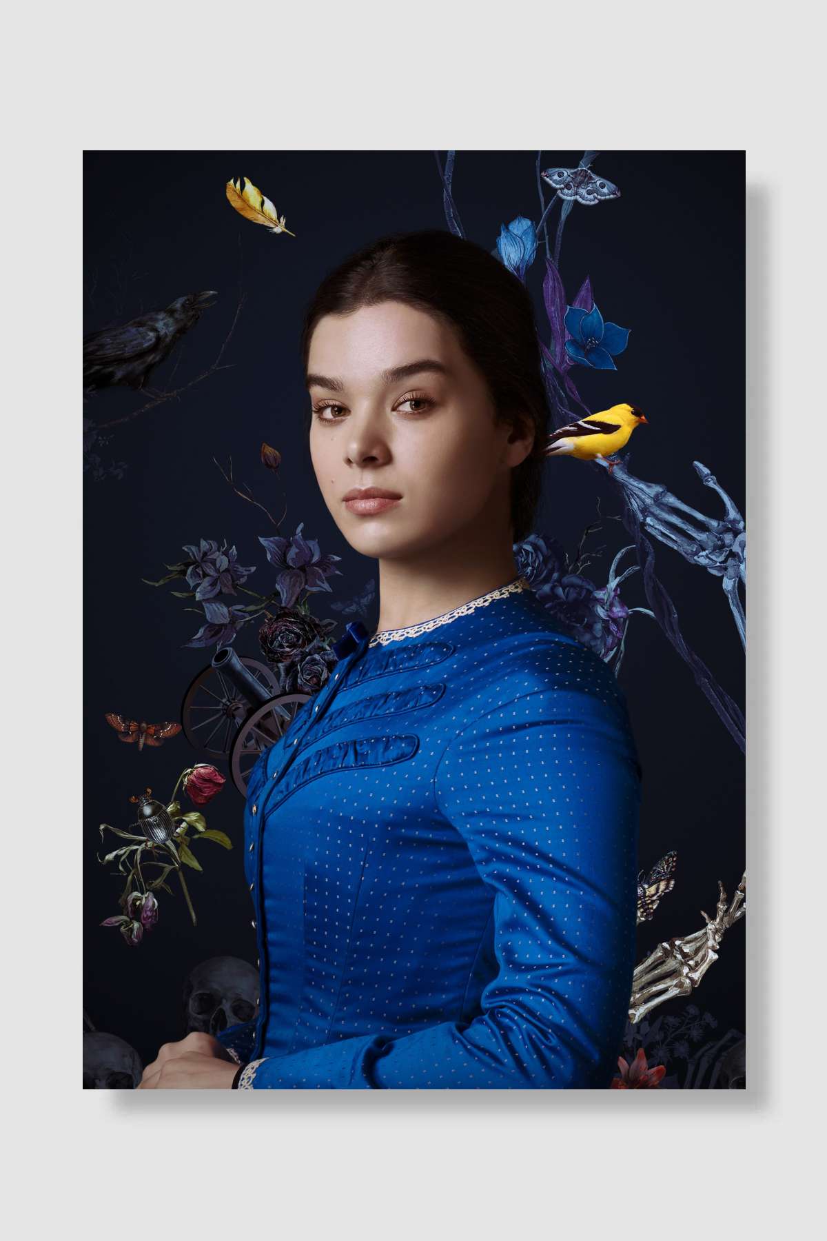 Dickinson Dizi Poster Çerçevesiz Yüksek Kalite Dizi Afiş Duvar Poster