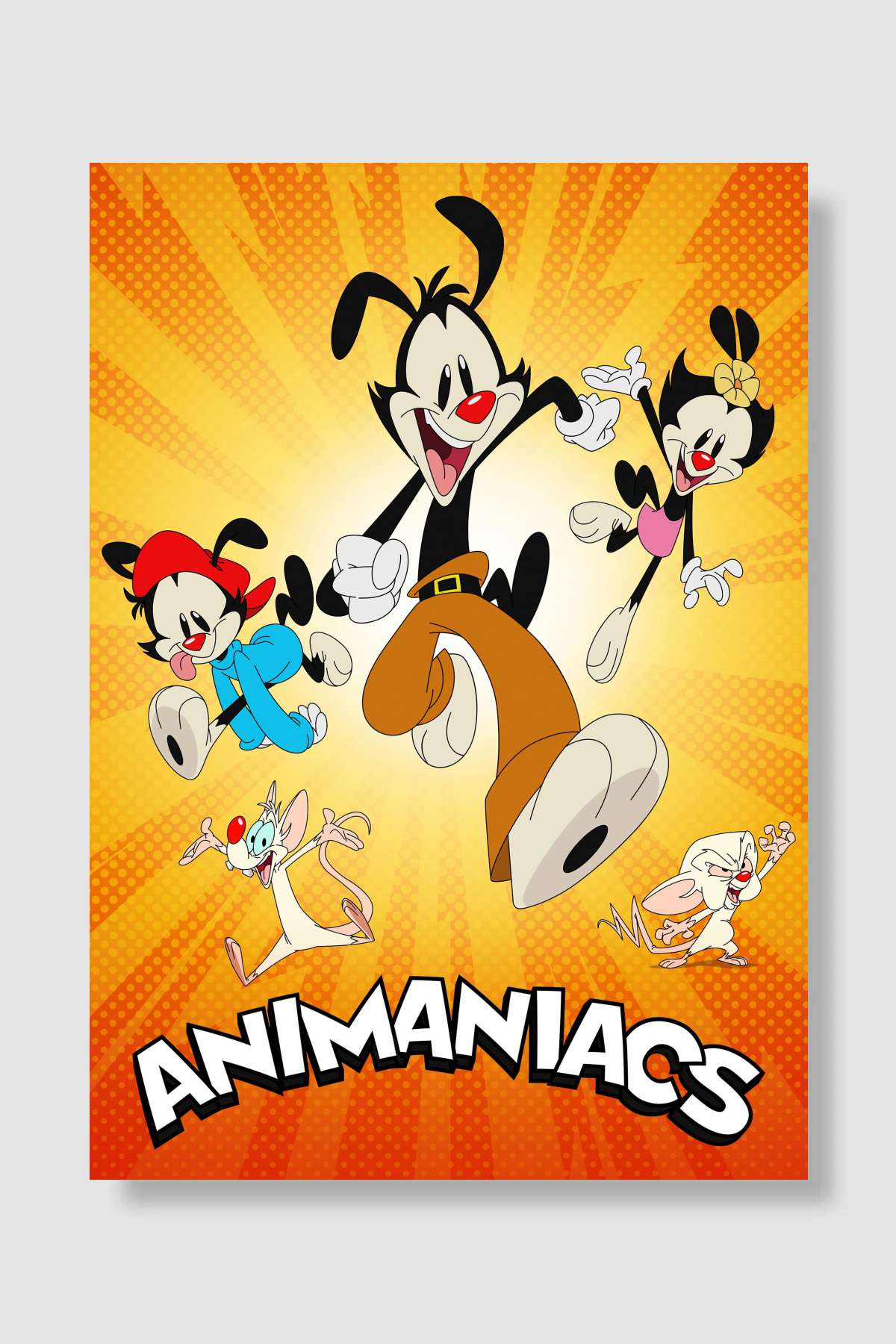 Animaniacs Dizi Poster Çerçevesiz Yüksek Kalite Dizi Afiş Duvar Poster