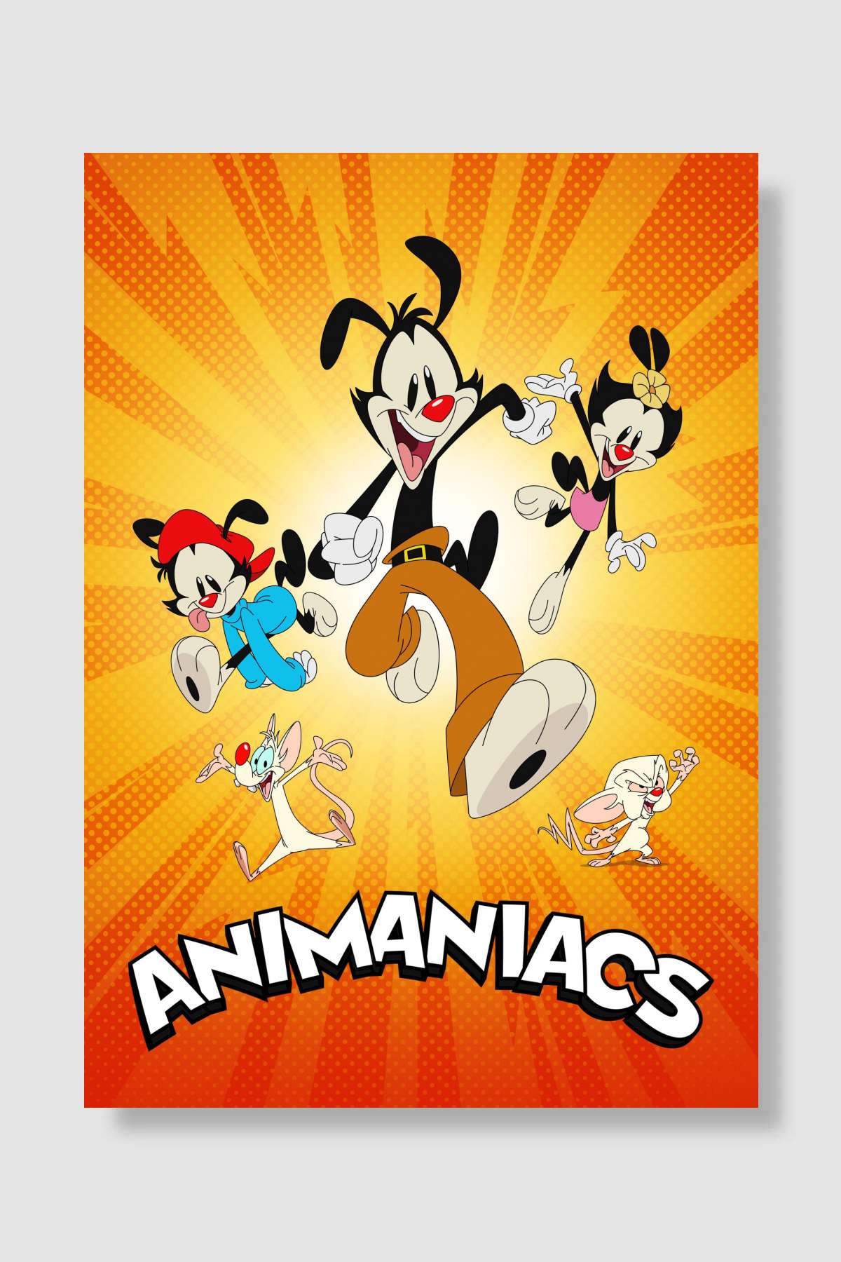 Animaniacs Dizi Poster Çerçevesiz Yüksek Kalite Dizi Afiş Duvar Poster