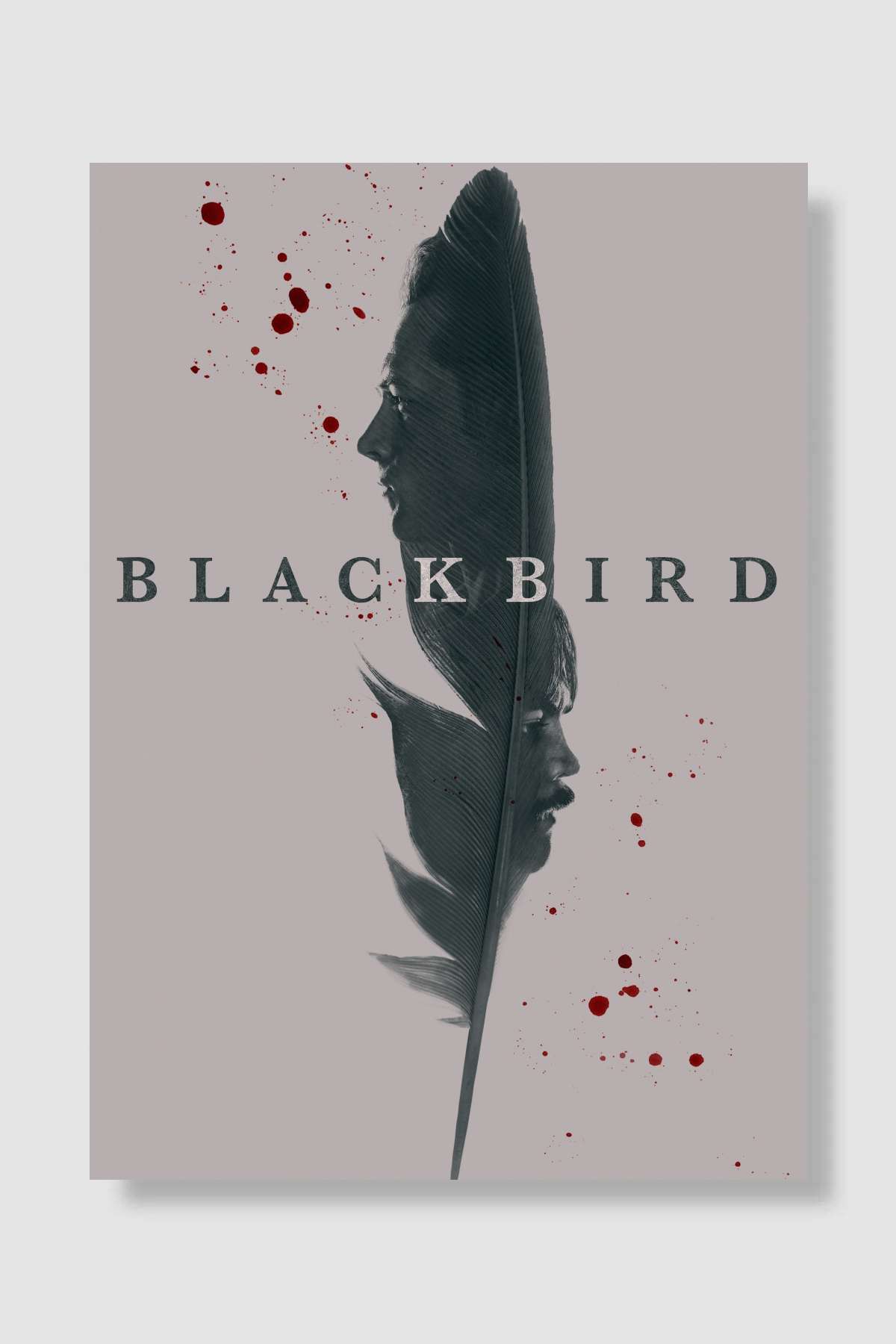 Black Bird Dizi Poster Çerçevesiz Yüksek Kalite Dizi Afiş Duvar Poster