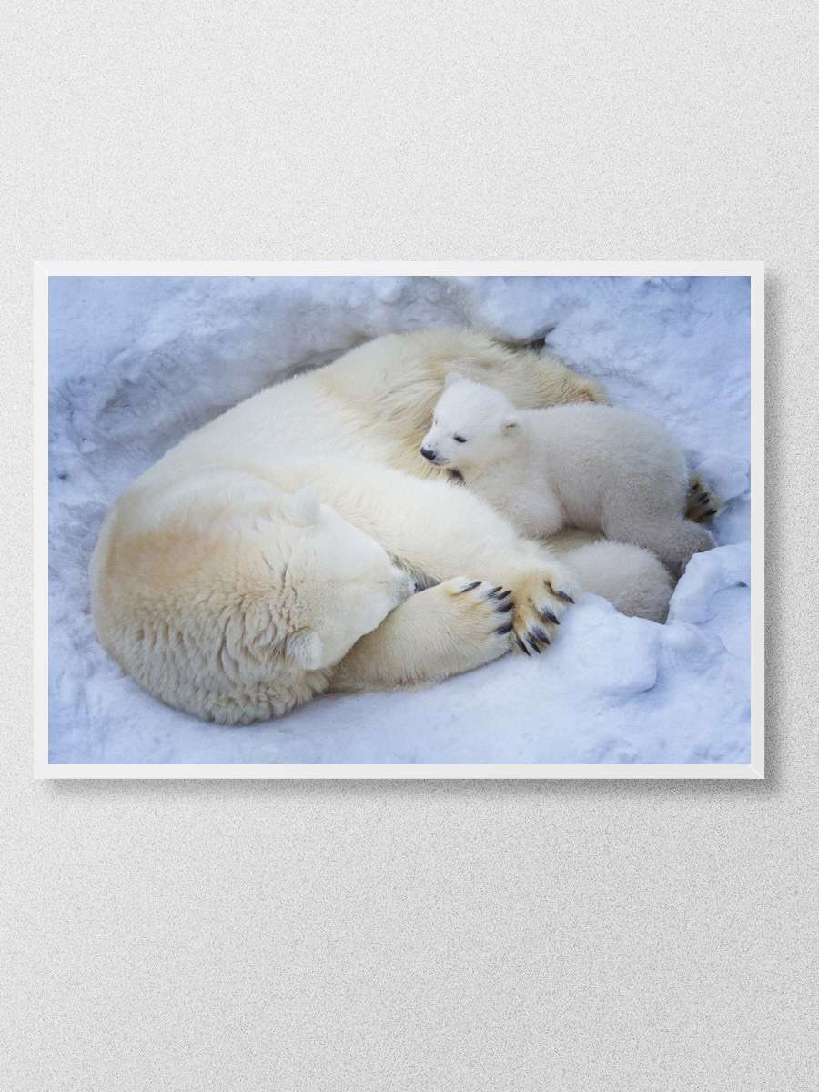 bears mother Anime Poster Çerçevesiz Yüksek Kalite Anime Duvar Poster