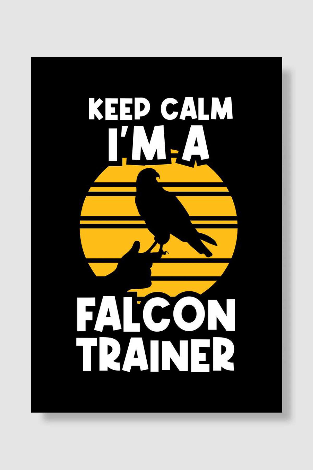 Falconer Falcon Oyun Poster Çerçevesiz Yüksek Kalite Oyun Afiş Duvar Poster