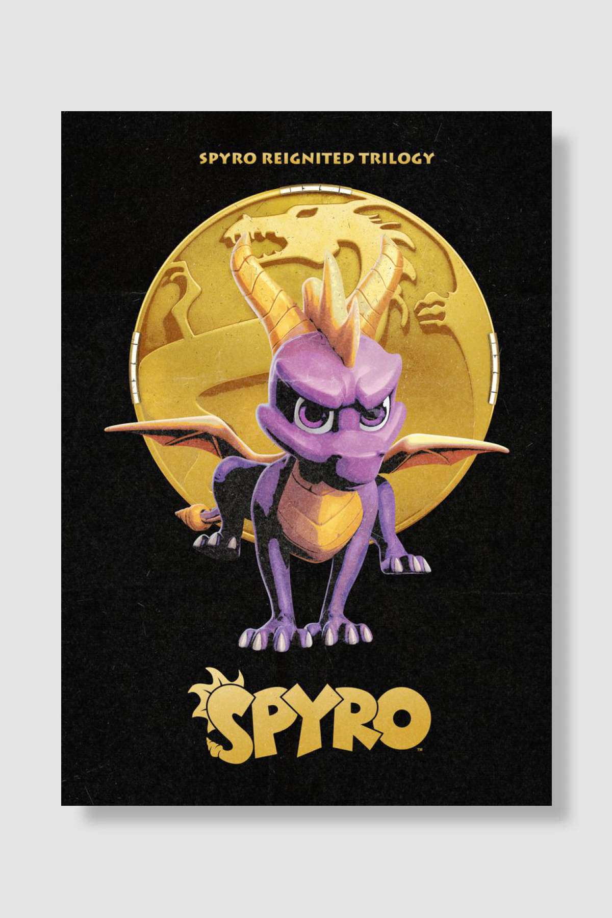 Dragon's Coin Oyun Poster Çerçevesiz Yüksek Kalite Oyun Afiş Duvar Poster