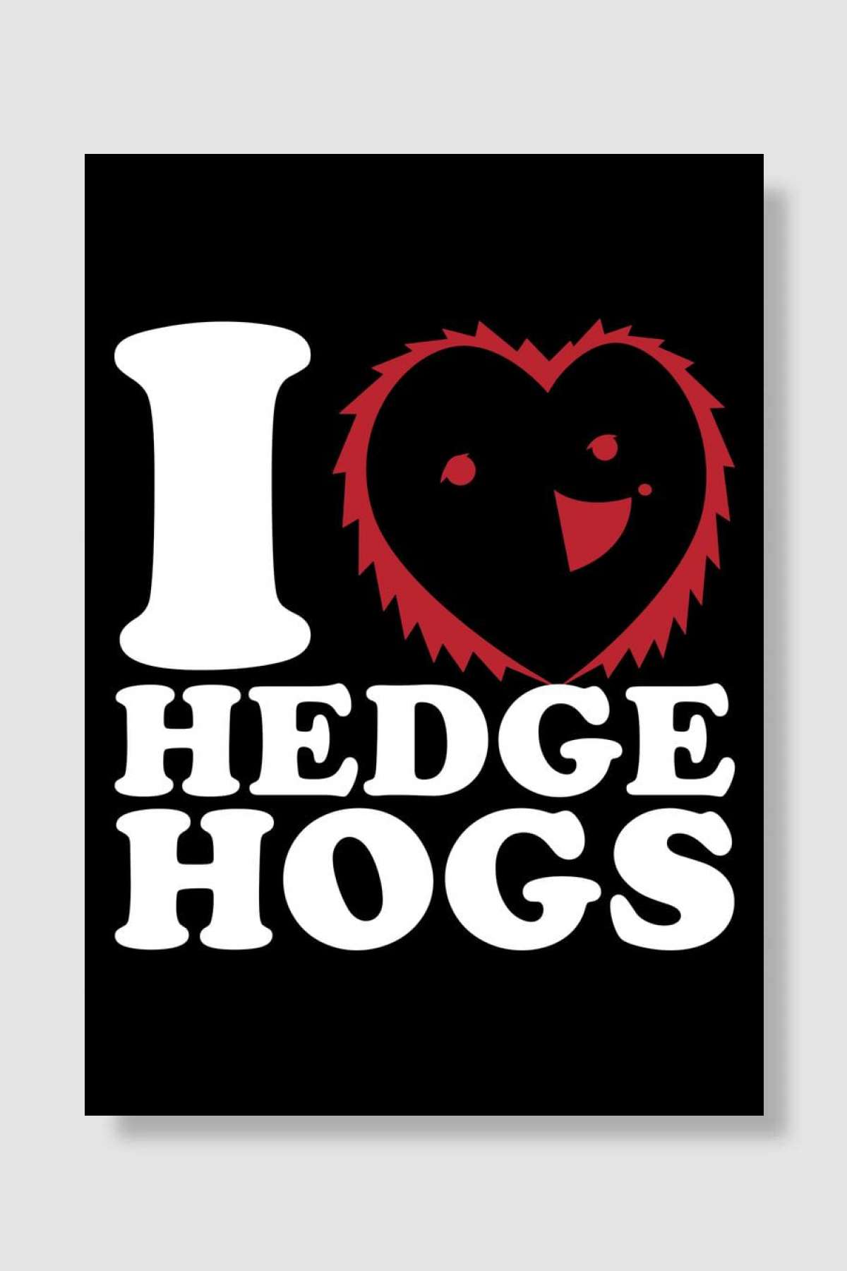 Hedgehog Oyun Poster Çerçevesiz Yüksek Kalite Oyun Afiş Duvar Poster