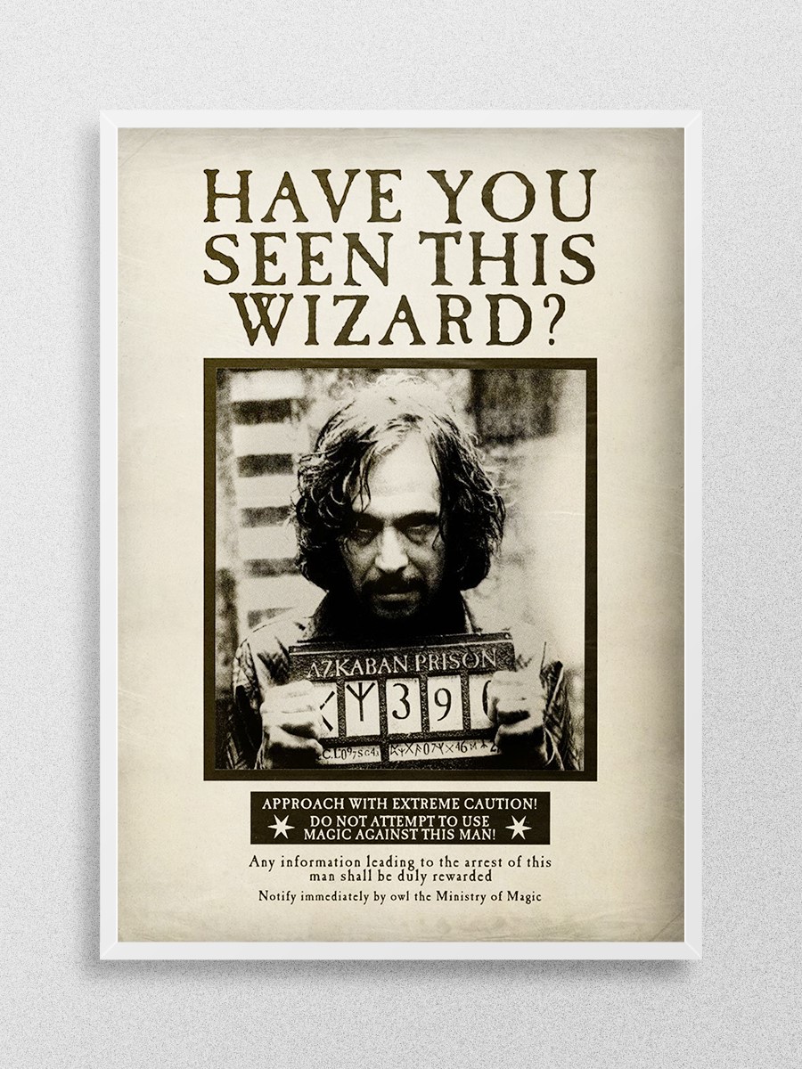 Have you seen this wizard? Poster, Çerçevesiz Tv Film Poster