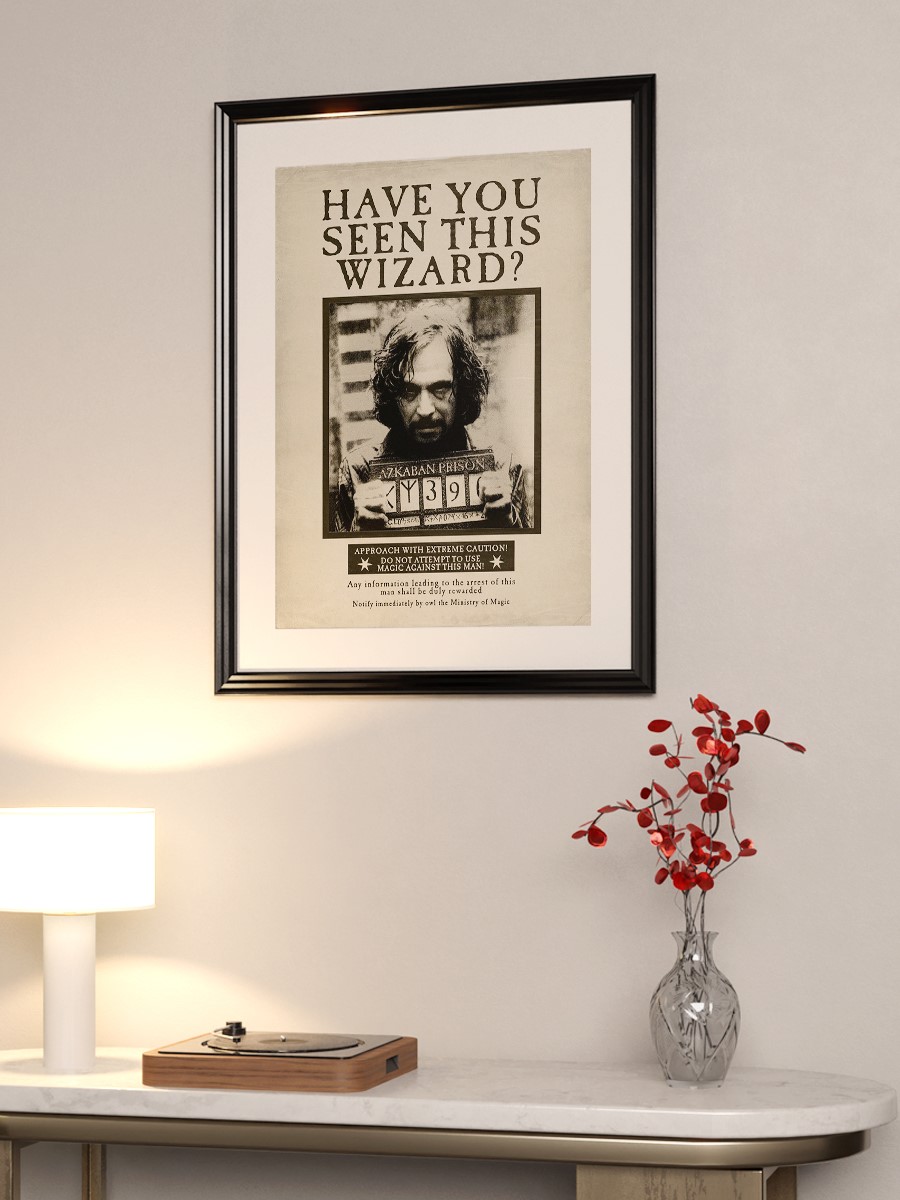 Have you seen this wizard? Poster, Çerçevesiz Tv Film Poster