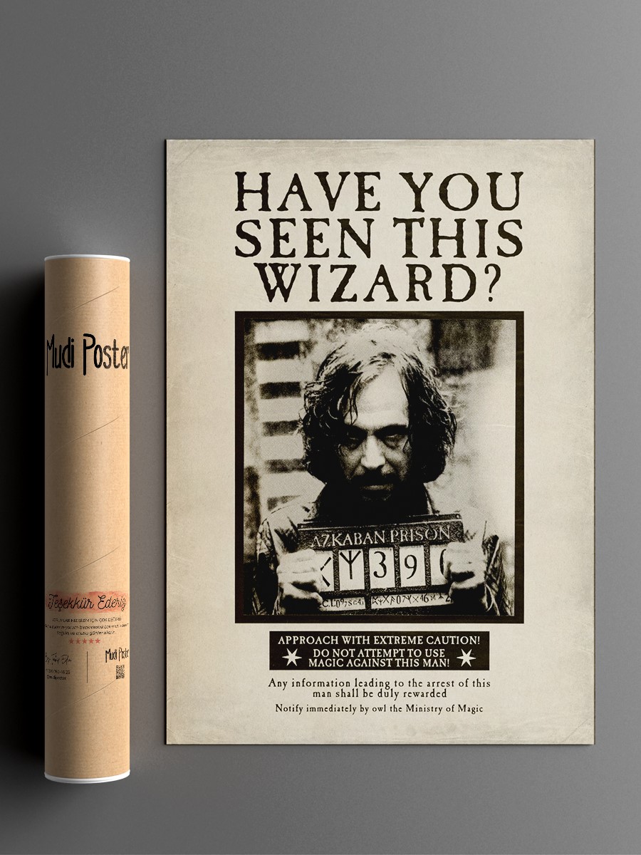 Have you seen this wizard? Poster, Çerçevesiz Tv Film Poster