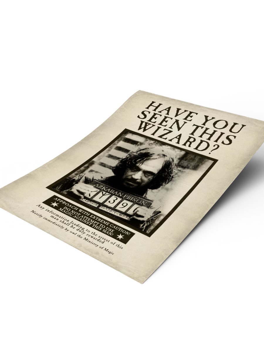 Have you seen this wizard? Poster, Çerçevesiz Tv Film Poster
