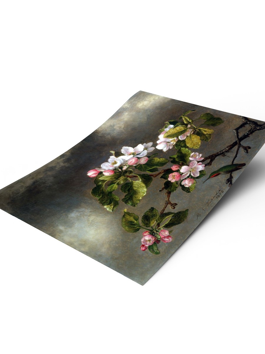 Hummingbird and Blossoms Tablo Sanatsal Ünlü Ressam Poster Çerçevesiz Yüksek Kalite Poster