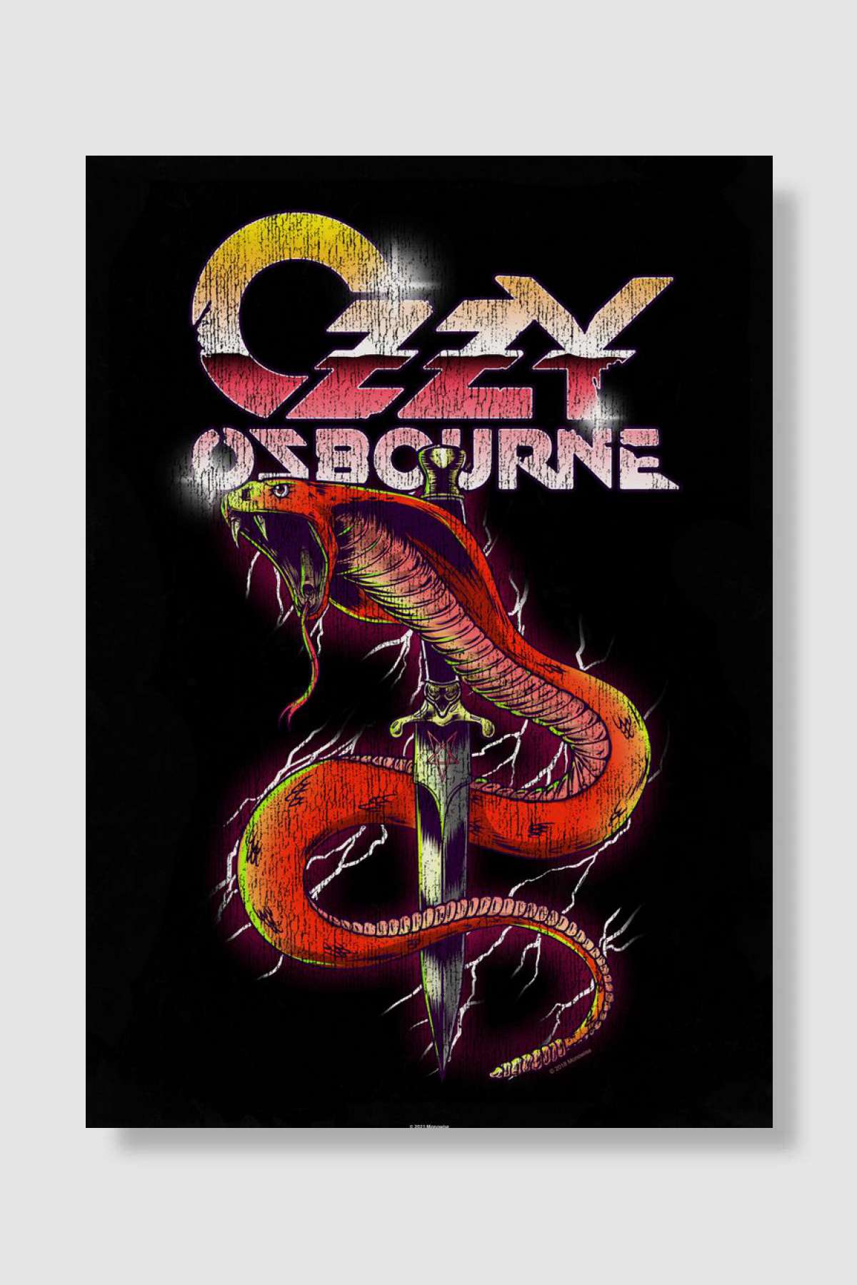 Snake Müzik Poster Çerçevesiz Yüksek Kalite Müzik Afiş Duvar Poster