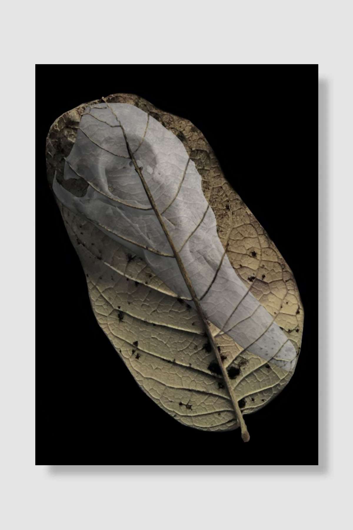 Singing bones Müzik Poster Çerçevesiz Yüksek Kalite Müzik Afiş Duvar Poster