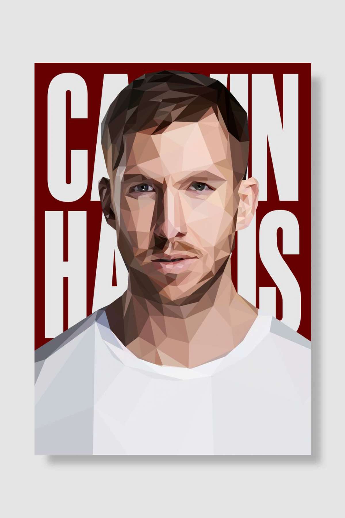 calvin harris popart Müzik Poster Çerçevesiz Yüksek Kalite Müzik Afiş Duvar Poster - En İyi Fiyatlarla