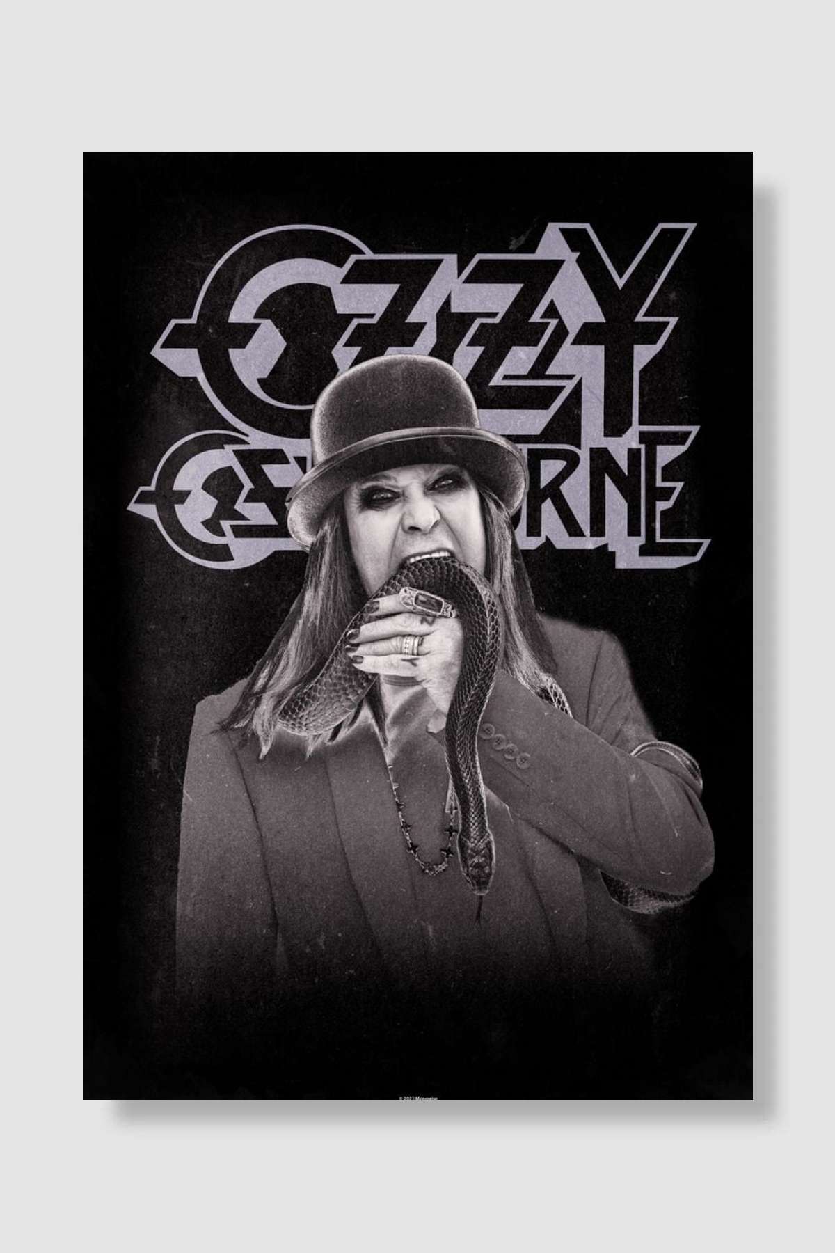 Ozzy with snake Müzik Poster Çerçevesiz Yüksek Kalite Müzik Afiş Duvar Poster