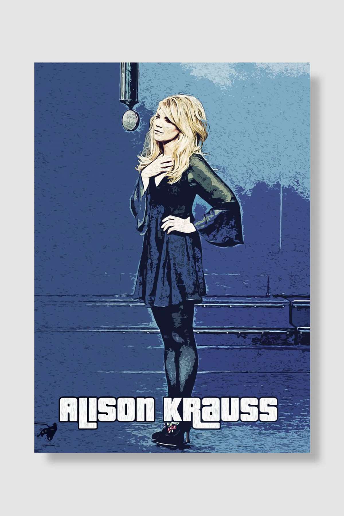 Alison Krauss Müzik Poster Çerçevesiz Yüksek Kalite Müzik Afiş Duvar Poster