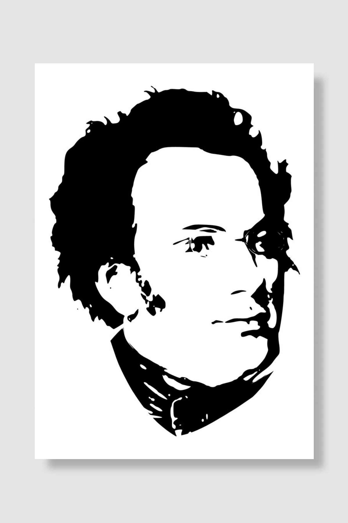 Franz Schubert Müzik Poster Çerçevesiz Yüksek Kalite Müzik Afiş Duvar Poster - En İyi Fiyatlarla