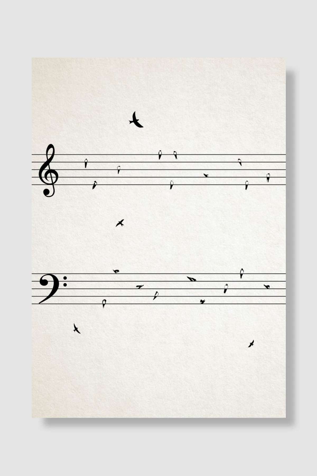 Sheet Music With Birds Müzik Poster Çerçevesiz Yüksek Kalite Müzik Afiş Duvar Poster