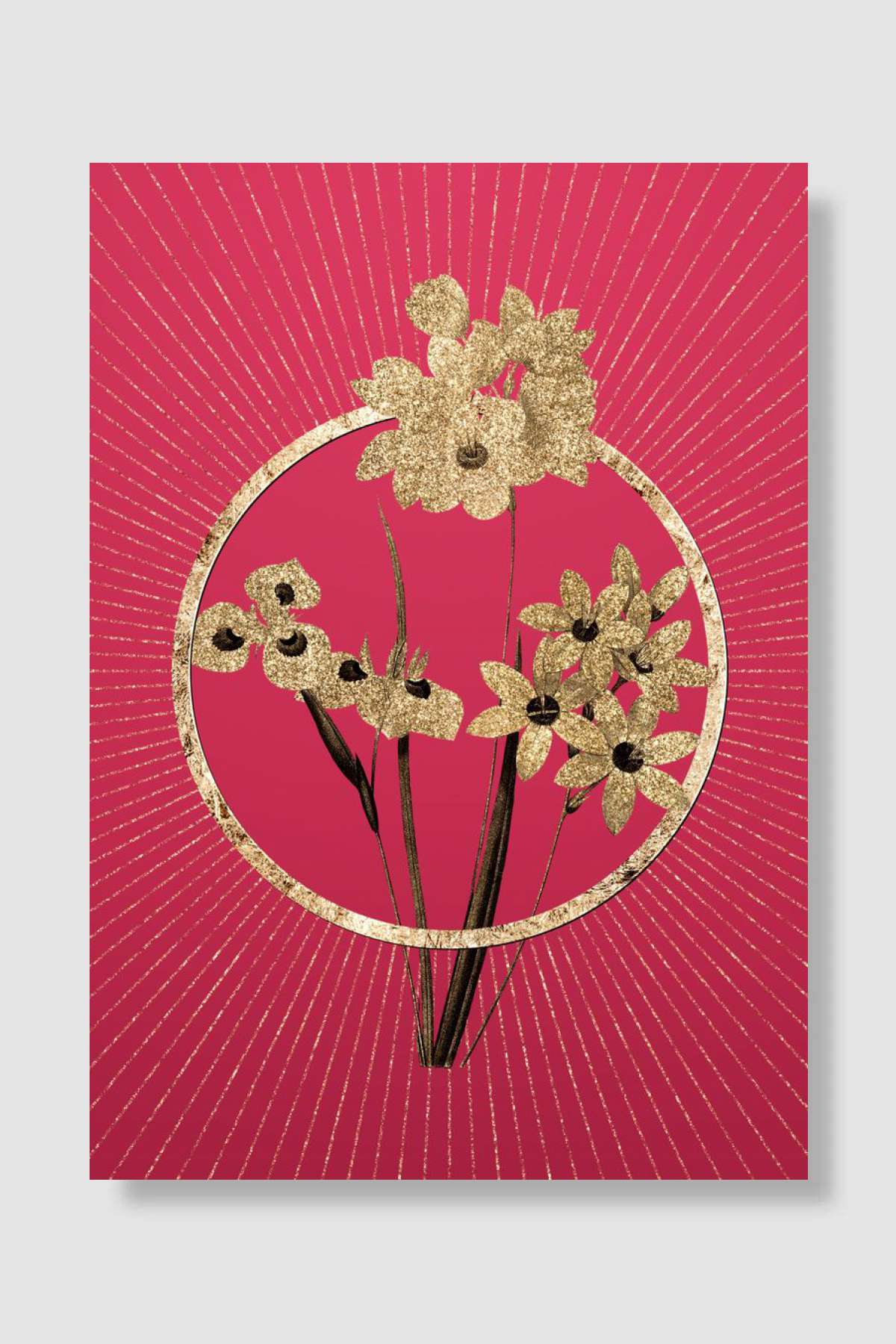 Corn Lily on Viva Magenta Müzik Poster Çerçevesiz Yüksek Kalite Müzik Afiş Duvar Poster