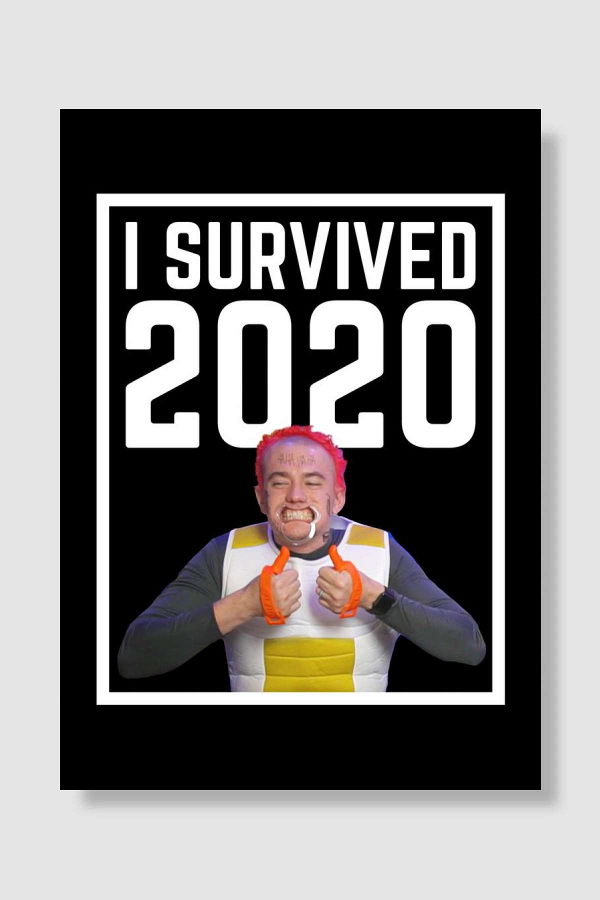 I Survived 2020 Müzik Poster Çerçevesiz Yüksek Kalite Müzik Afiş Duvar Poster - En İyi Fiyatlarla